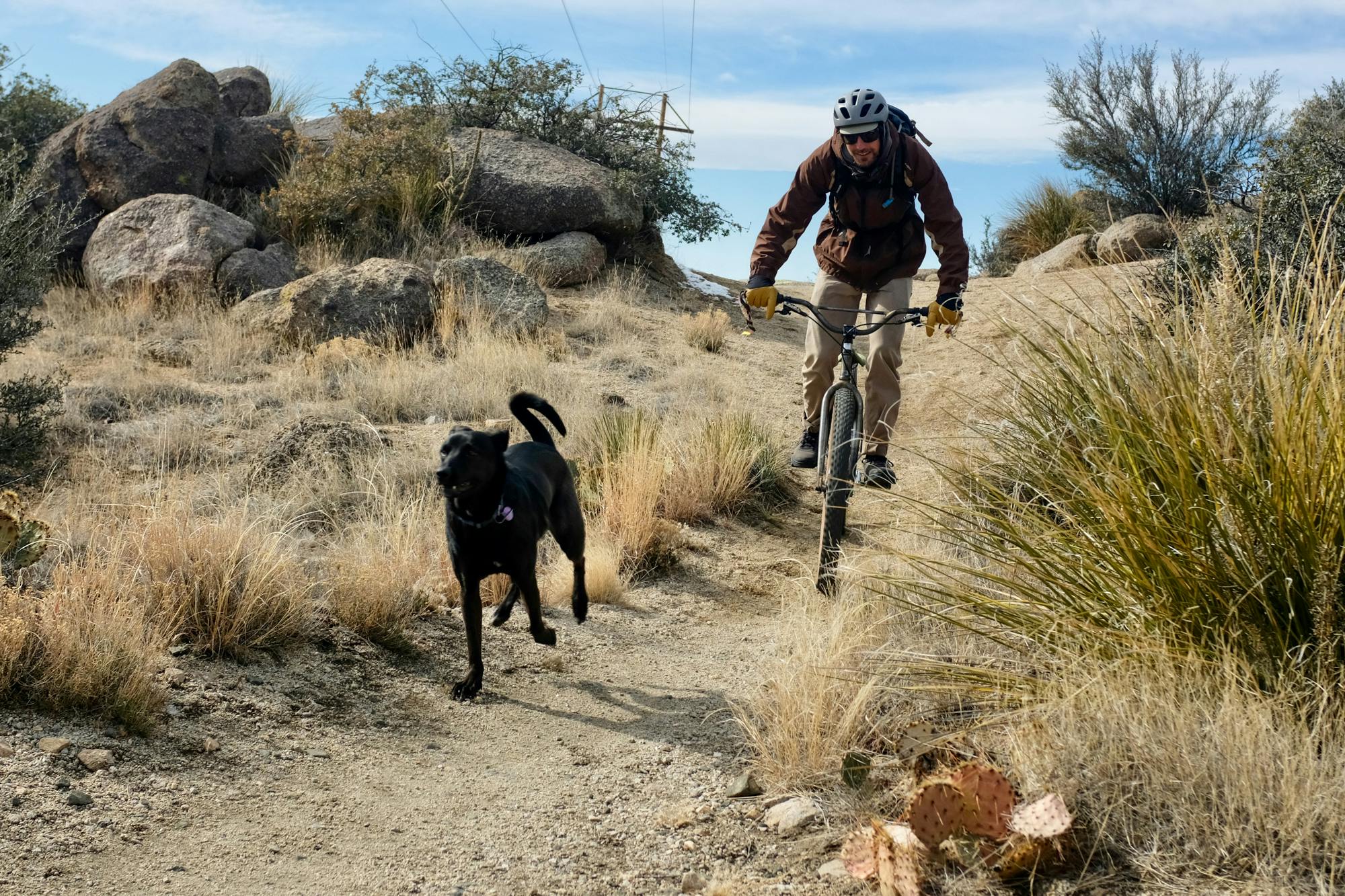 trail dogging