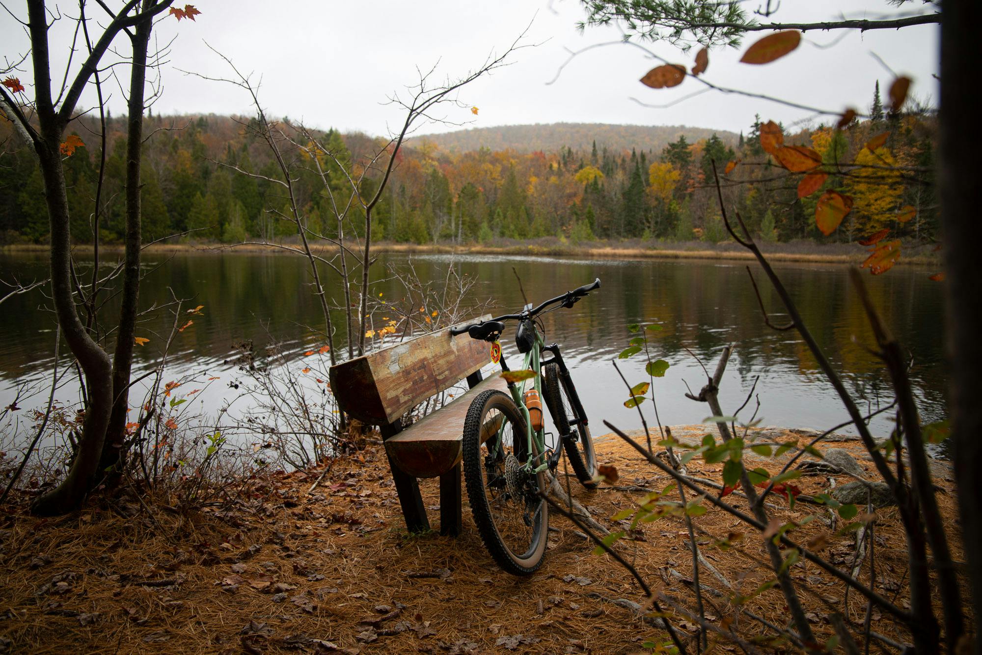 bike near lake