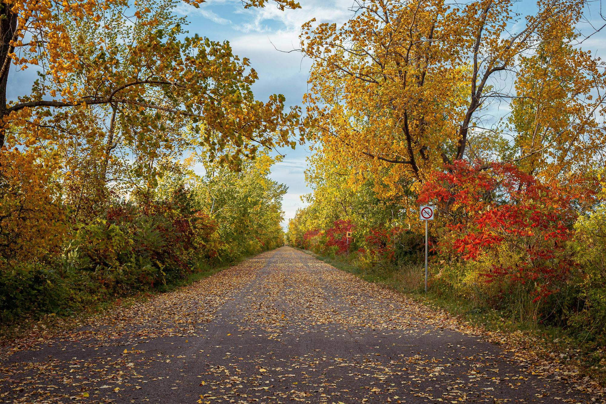 gravel road in fall