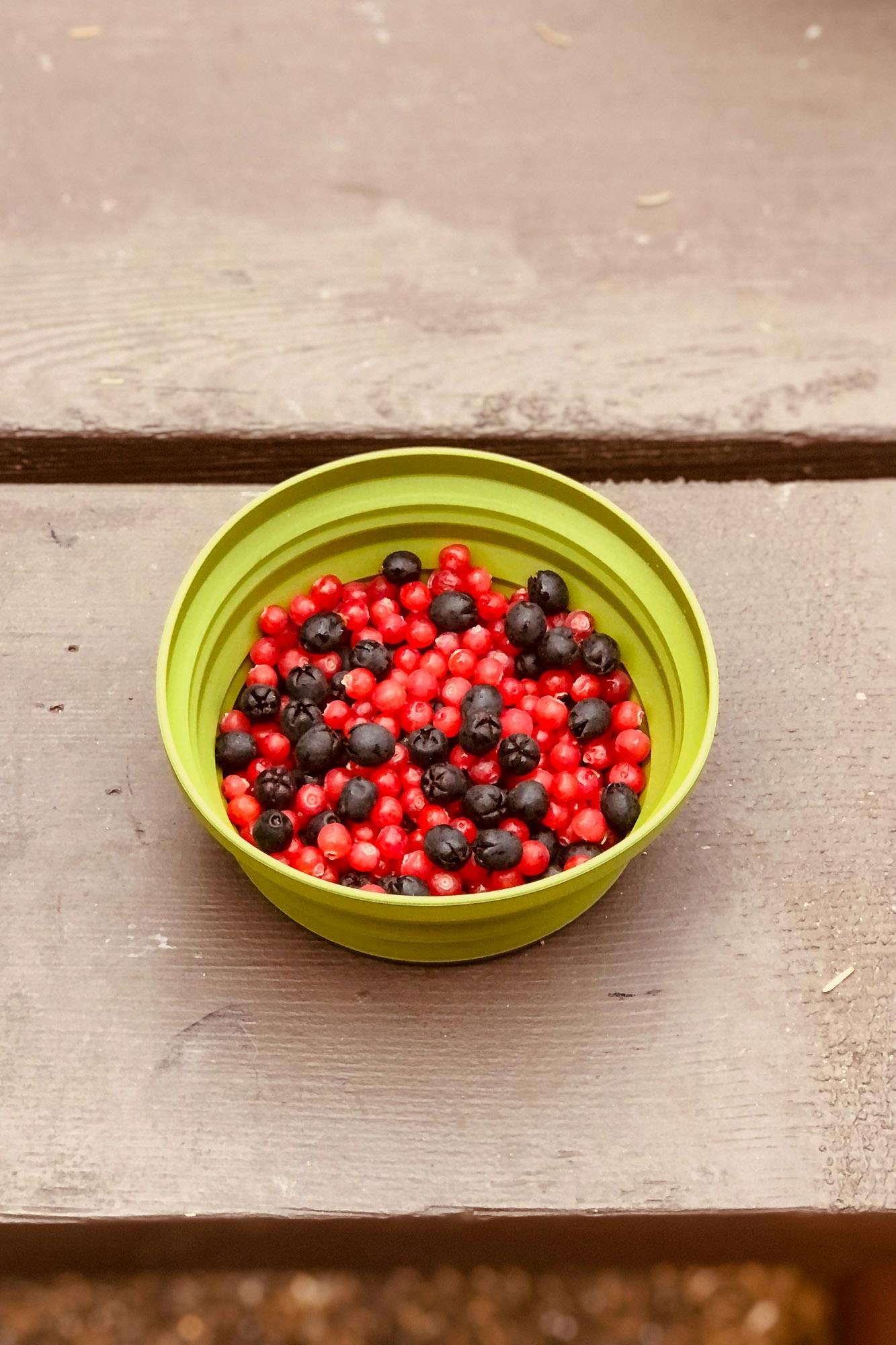 A bowl of salal berries.
