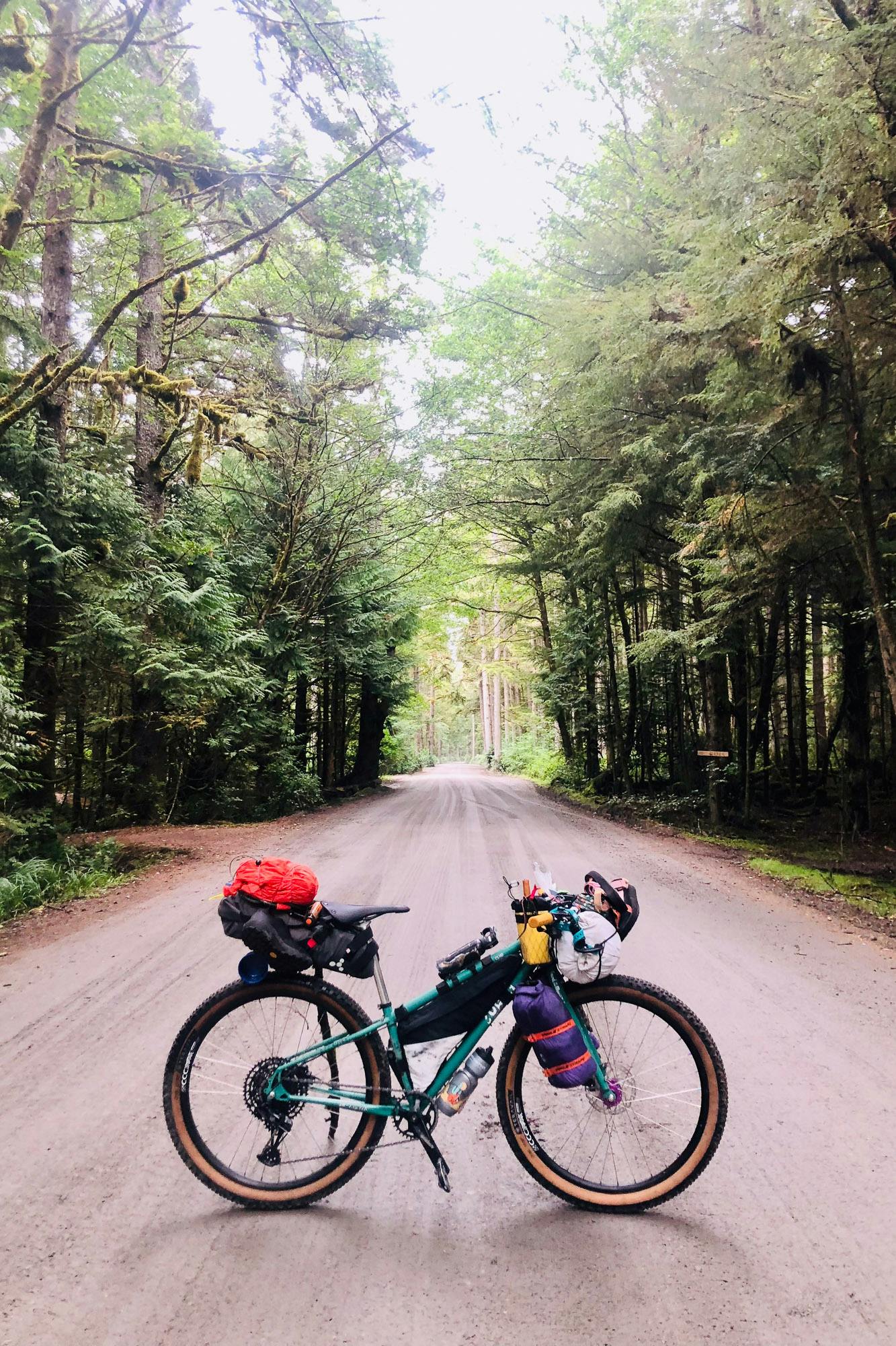 Sarahs Surly loaded for bikepacking.