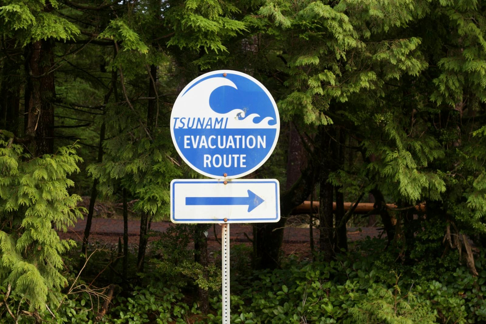 tsunami sign
