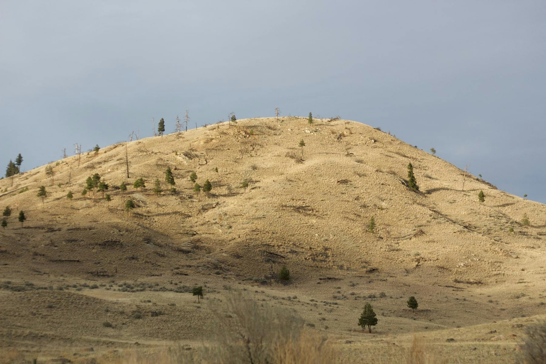 A hill in the grasslands