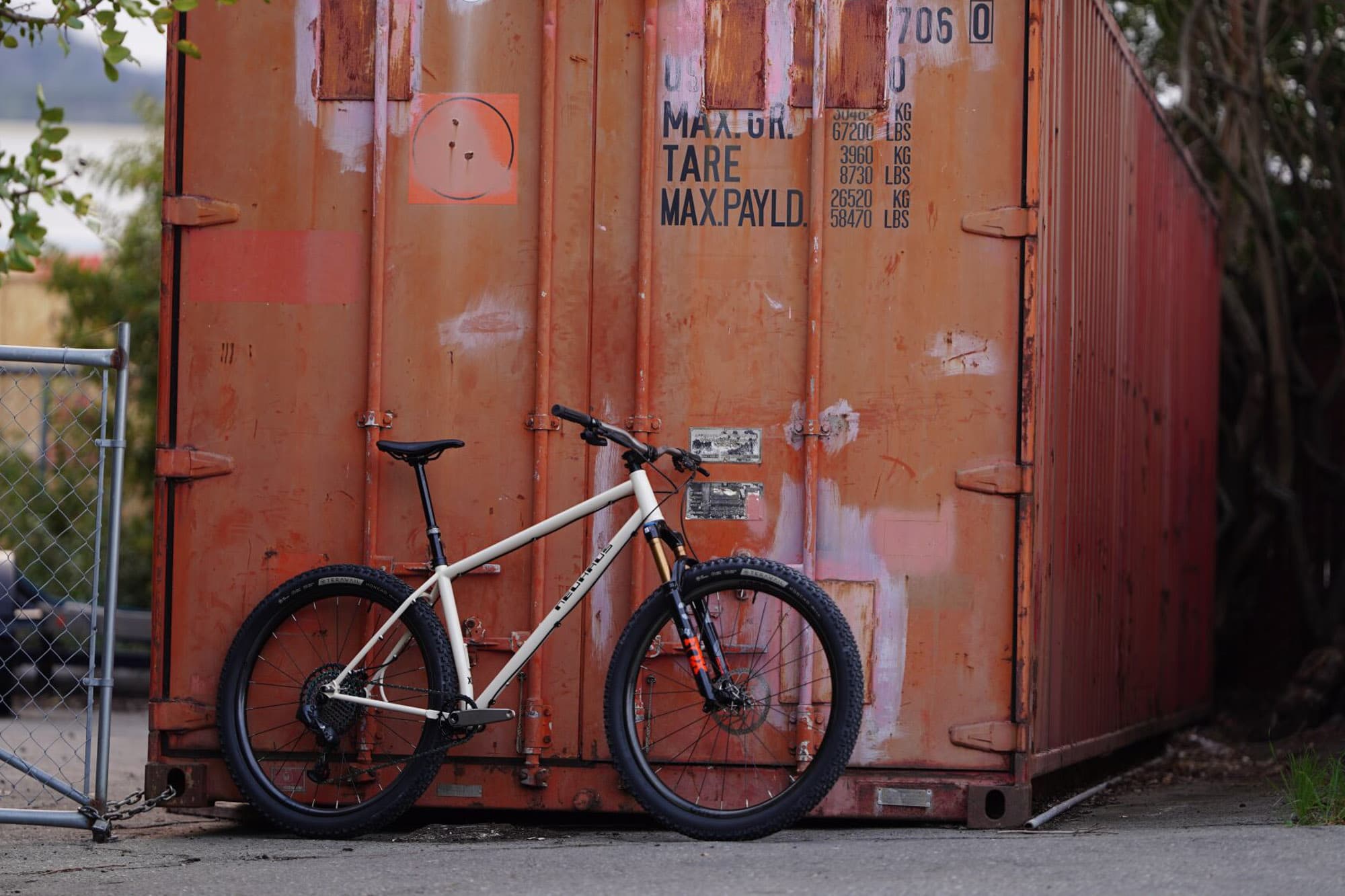 A cream production Hummingbird.