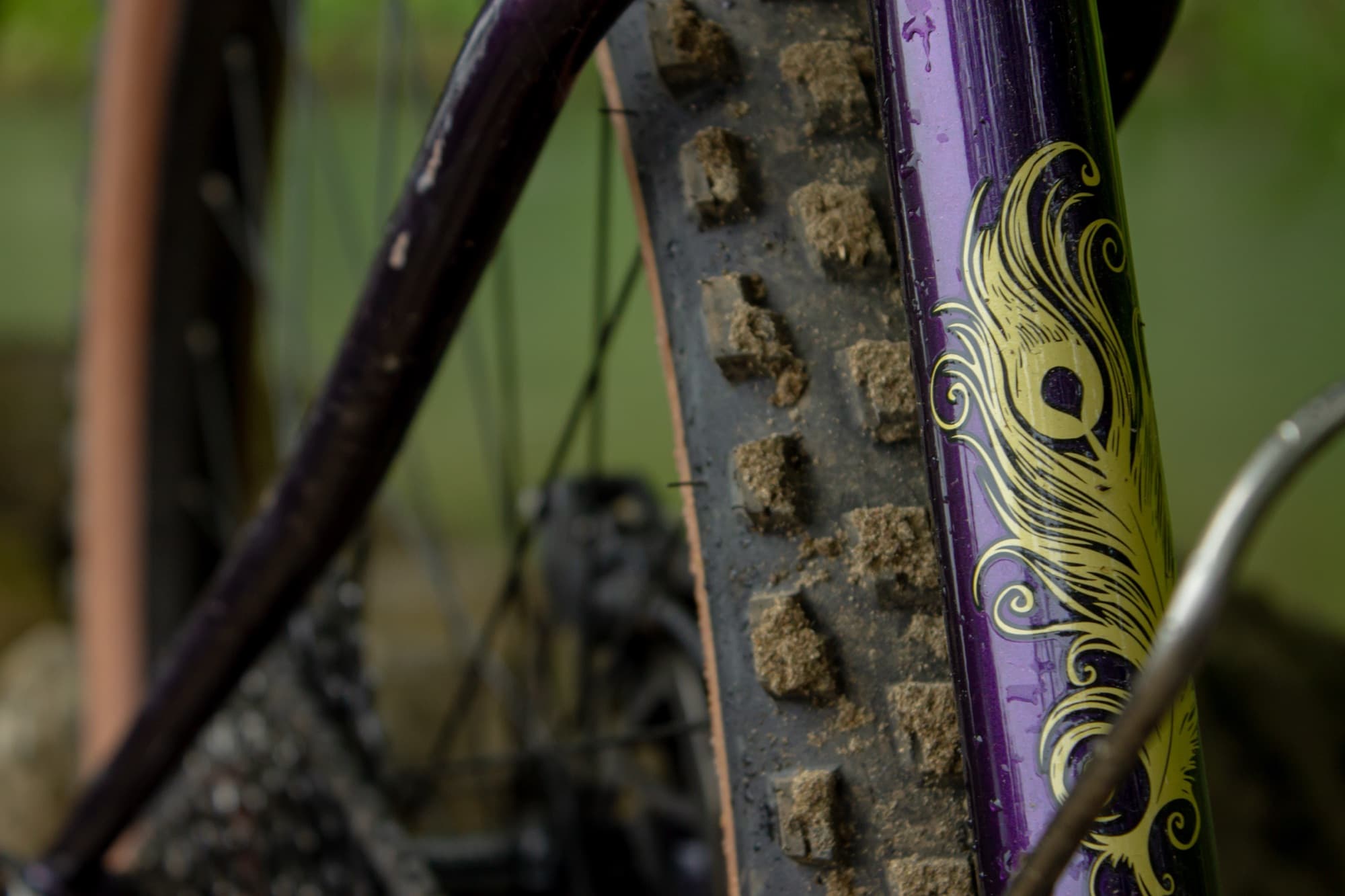 Peacock detailing on the fork beside the knobby Kessel
