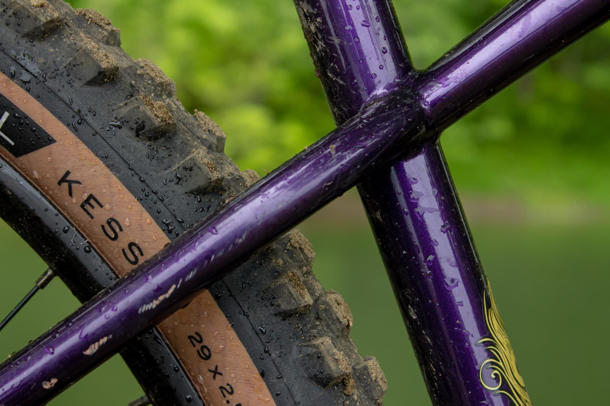 Kessel 29x2.5 sidewall against the purple frame