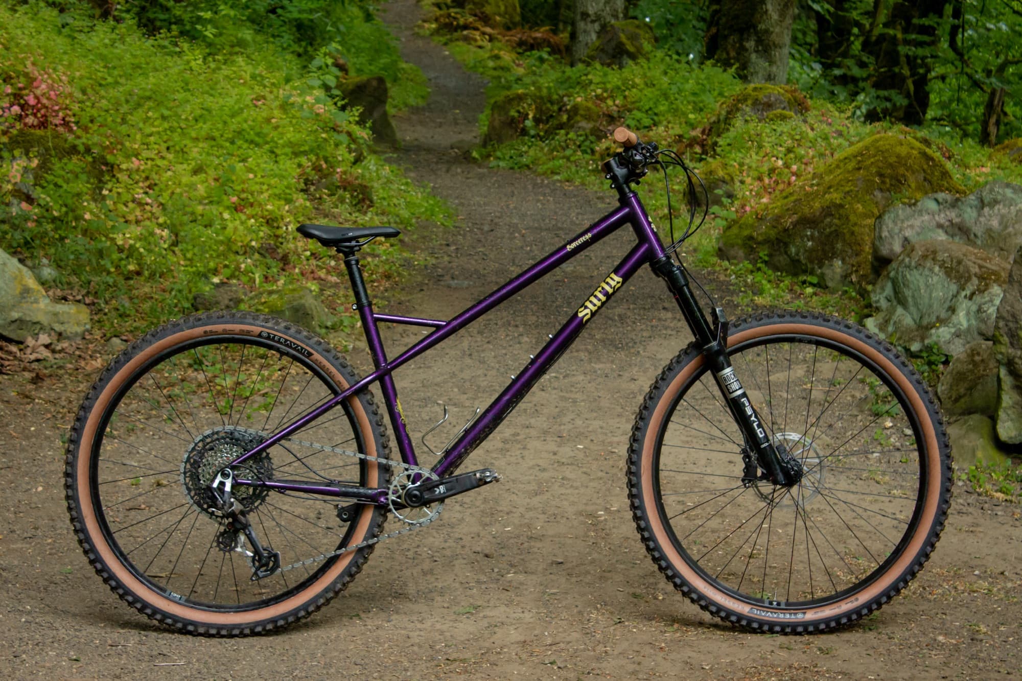 The Sorceress in profile, deep purple steel on a forest trail