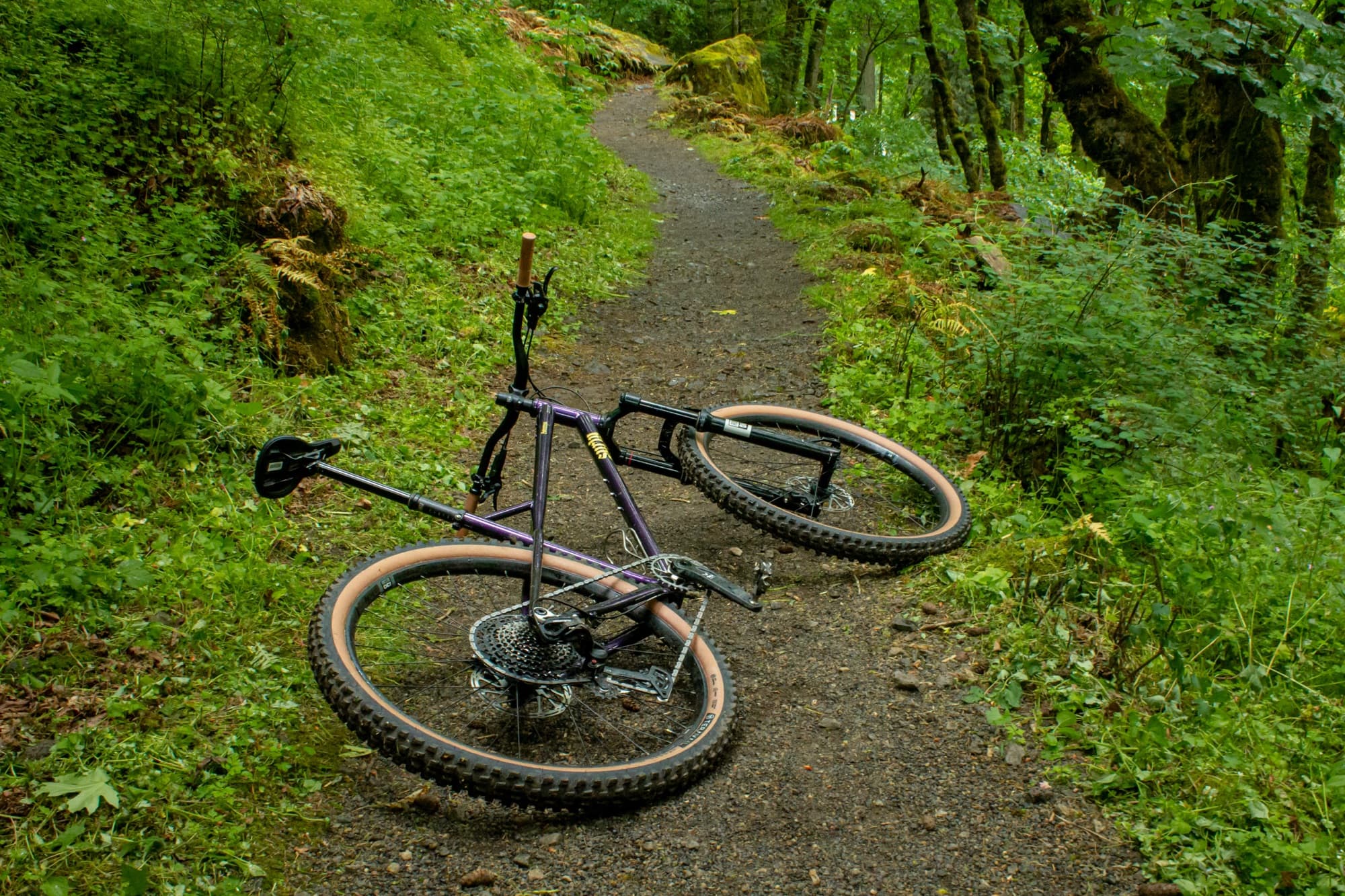 Resting on a bed of singletrack in mossy green woods