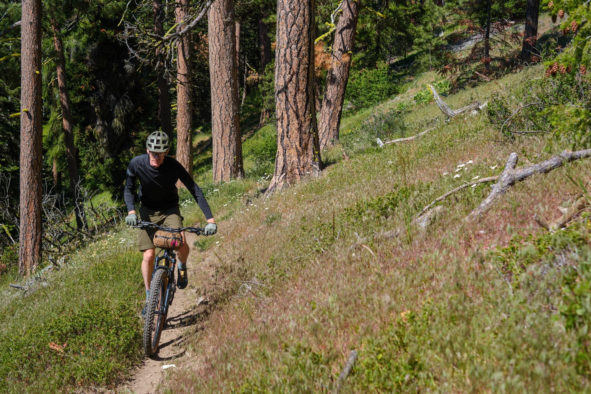 Flowing singletrack through open pine forest