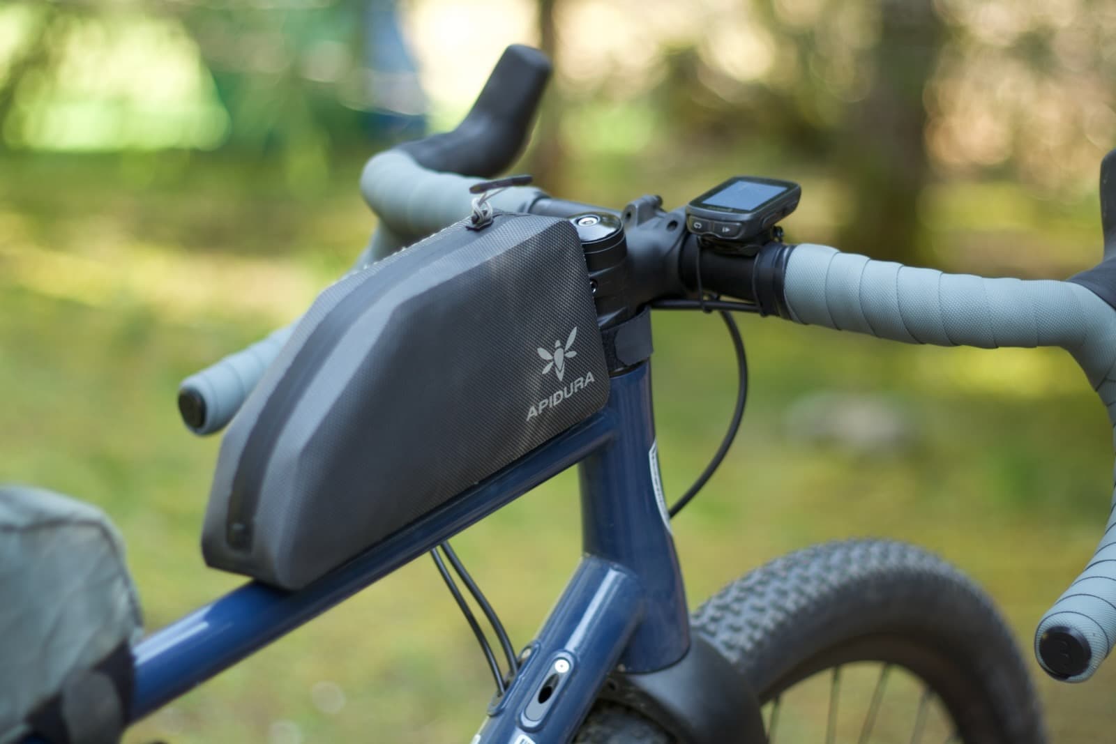 Apidura 1