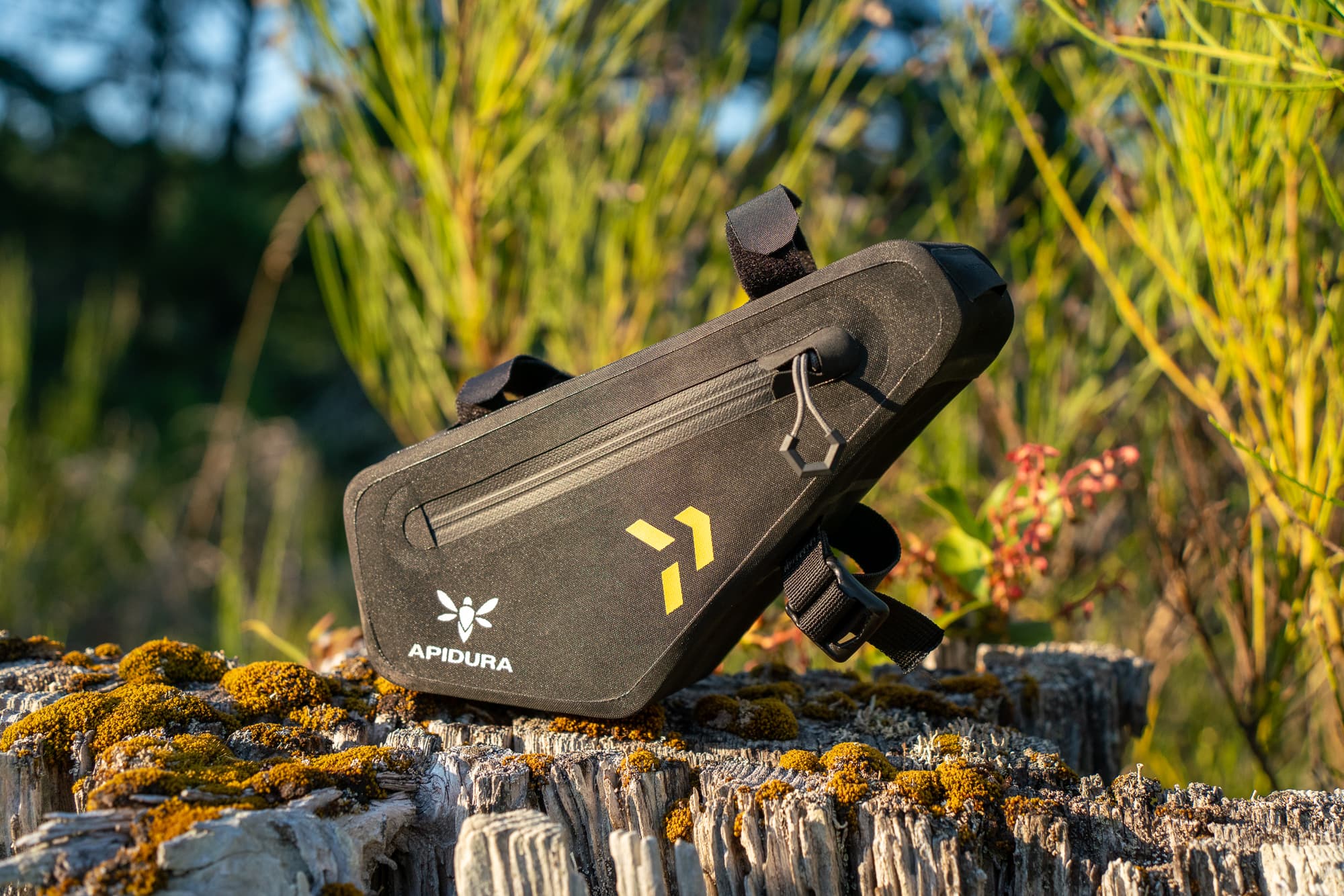 Apidura 3