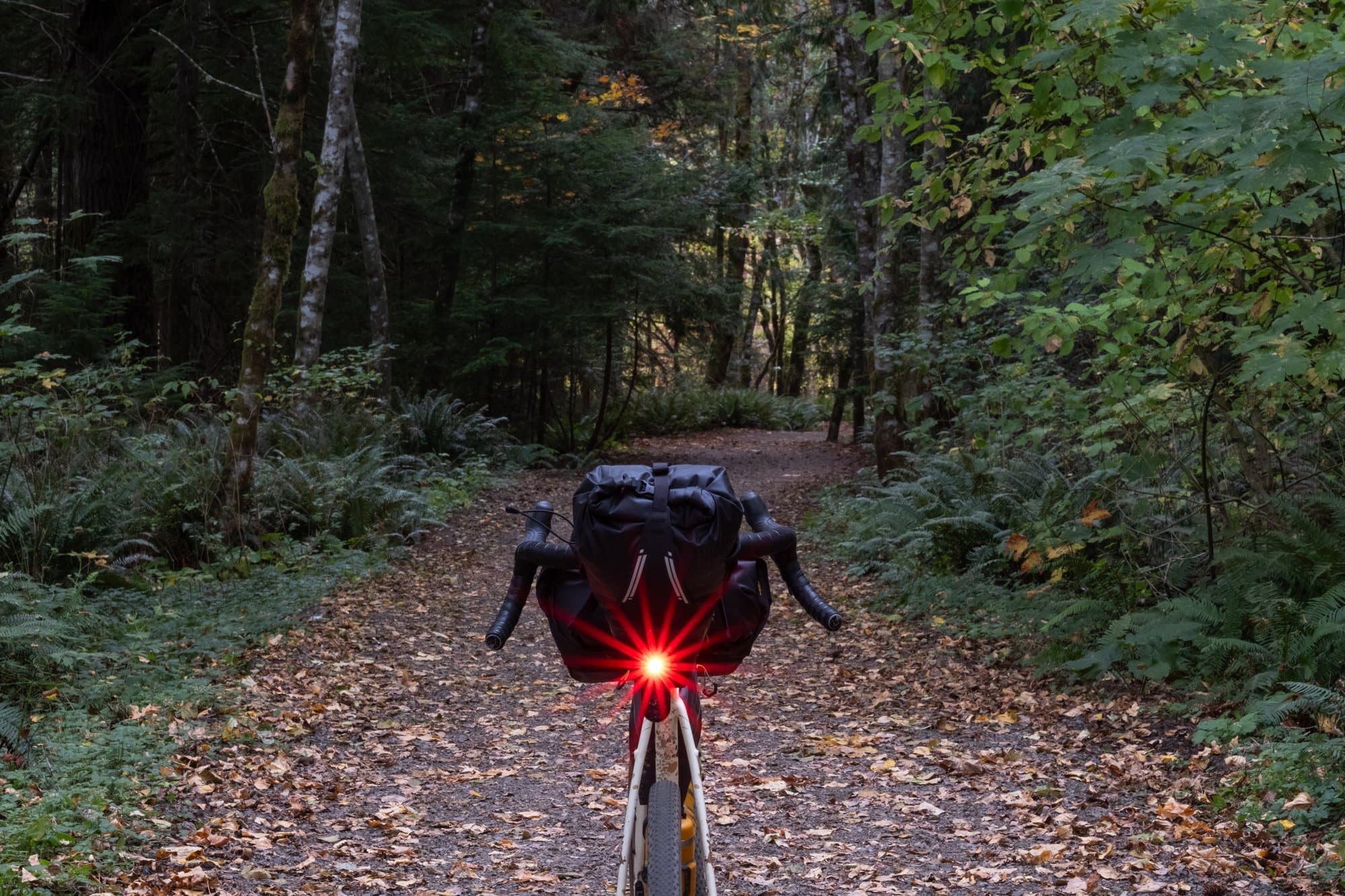 The loaded Kaha on a leaf-covered forest double track, rear light glowing.
