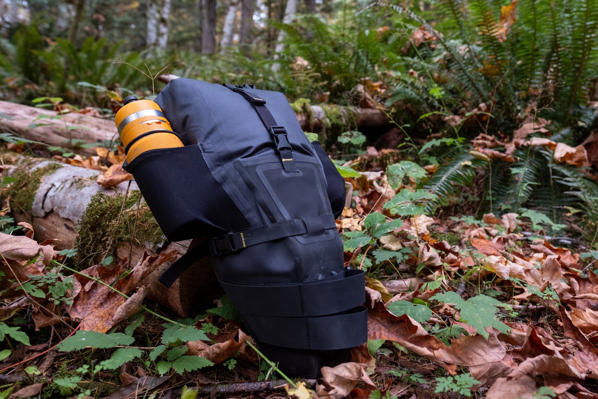 The Expedition Saddle Pack off the bike, propped among the ferns.
