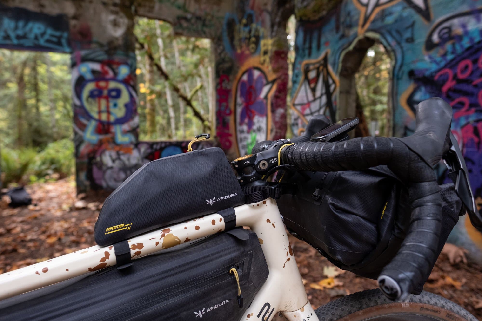 The Expedition Top Tube Pack and Handlebar Pack in front of the graffiti ruins.