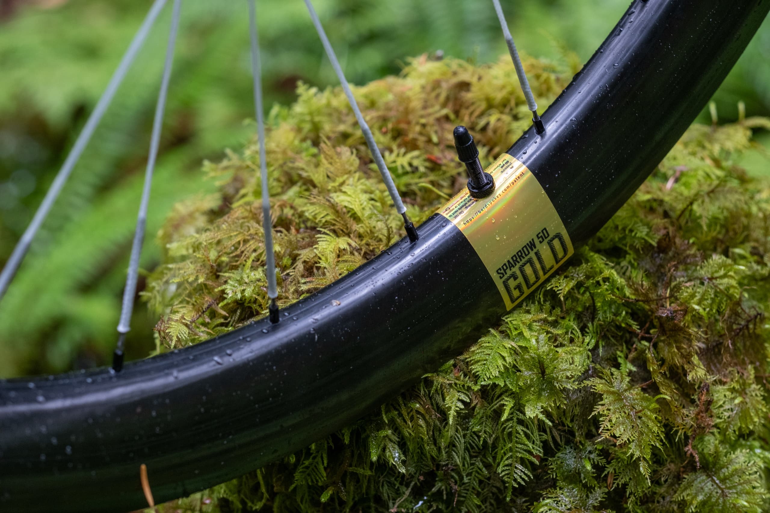 The Sparrow 50 Gold decal and valve stem set against moss.