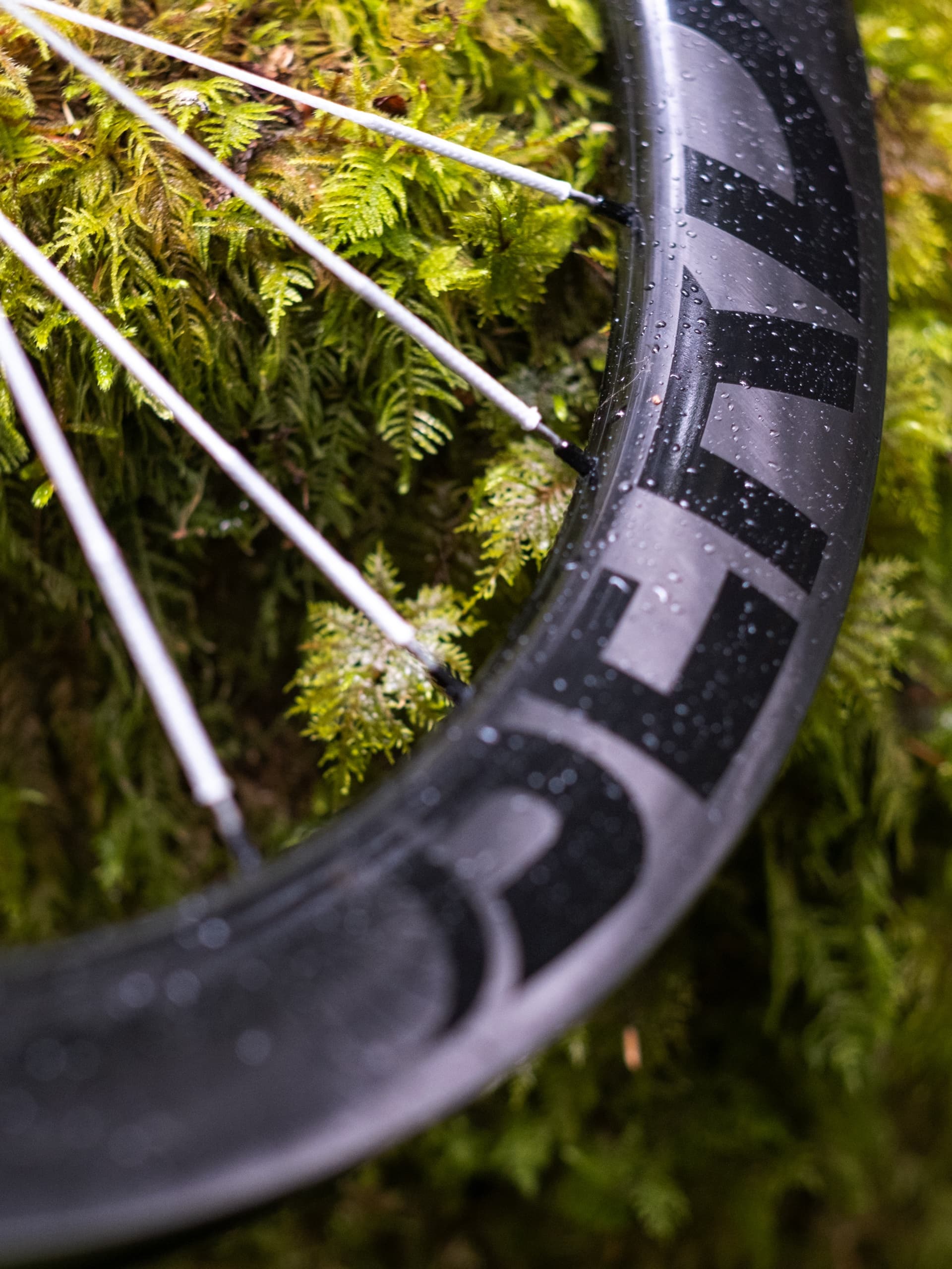 The Berd wordmark on the rim edge, beaded with morning dew.