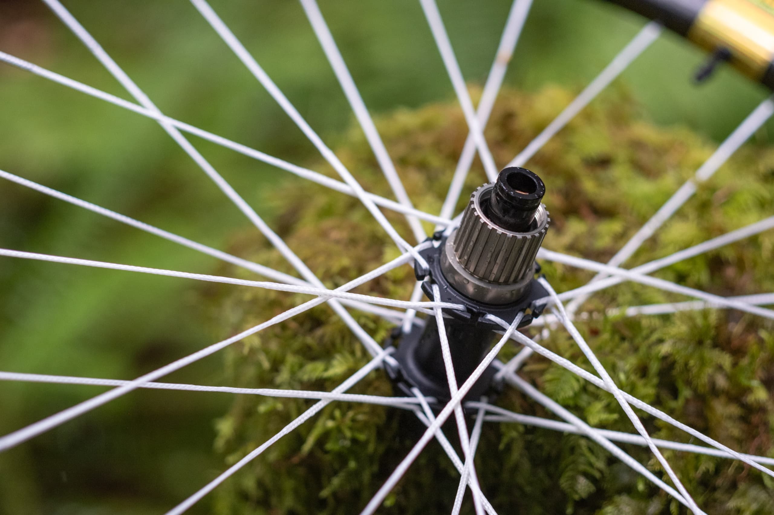 The Sparrow 50 Gold hub shell and Dyneema spoke lacing.
