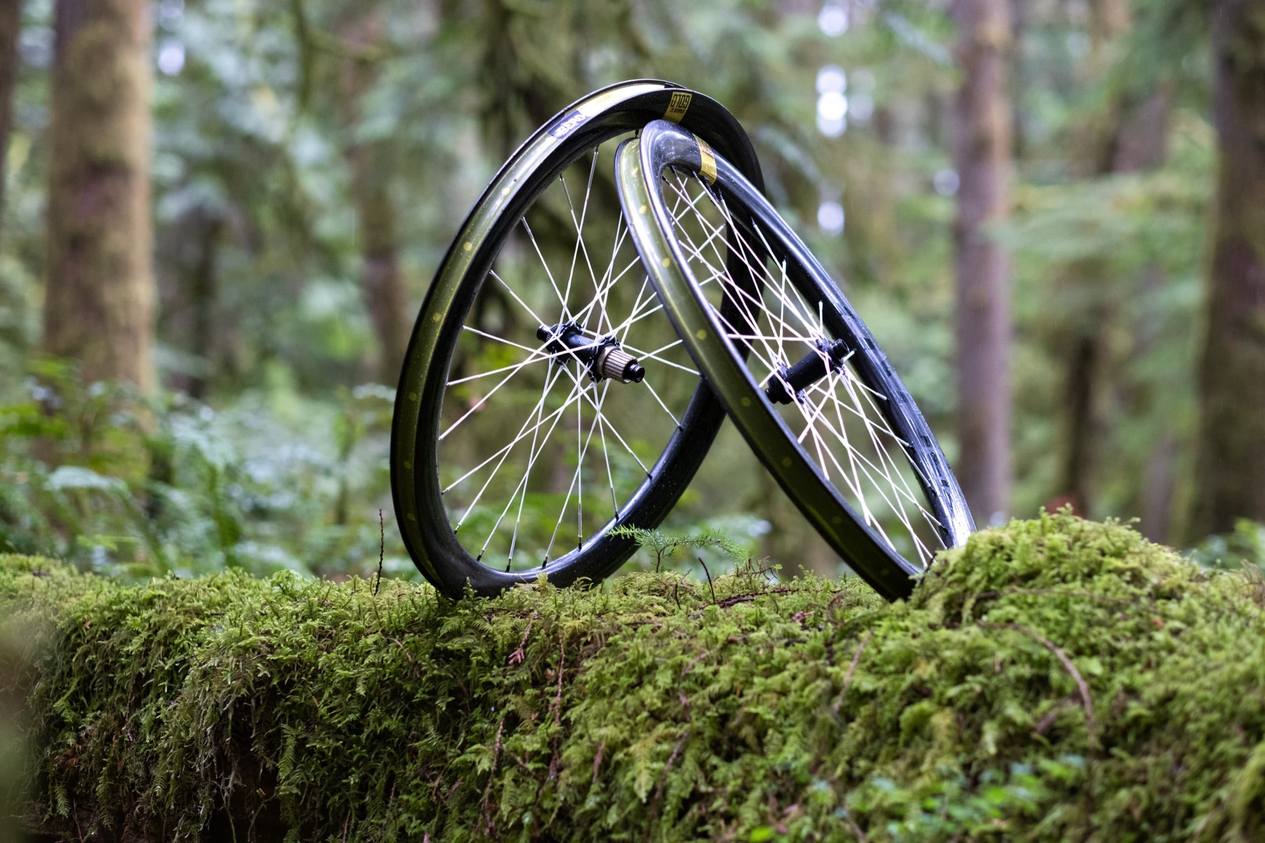 Both Sparrow 50 Gold wheels resting on a mossy stump in the forest.