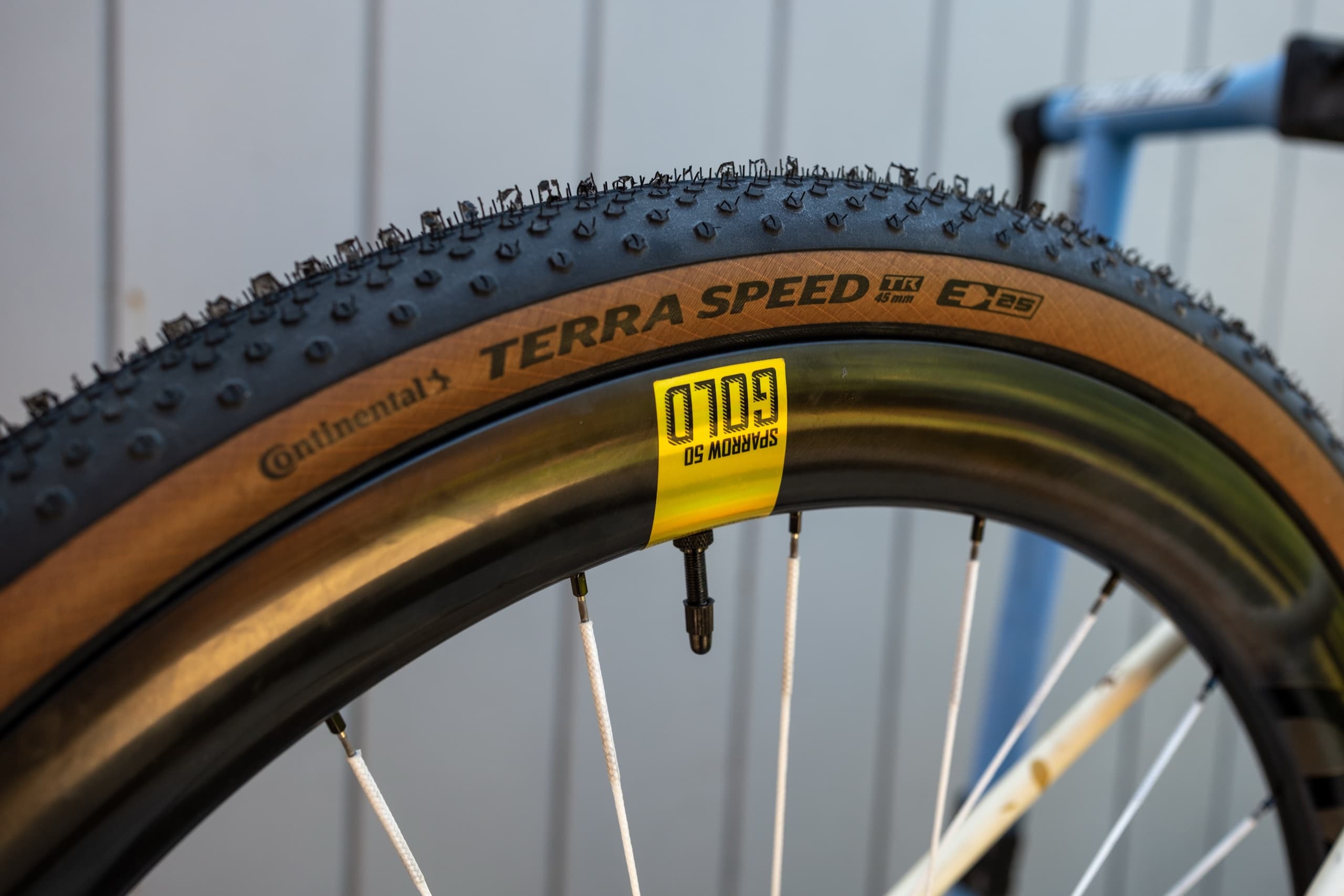 A Continental Terra Speed tire mounted on the Sparrow 50 Gold rim, Gold decal visible.