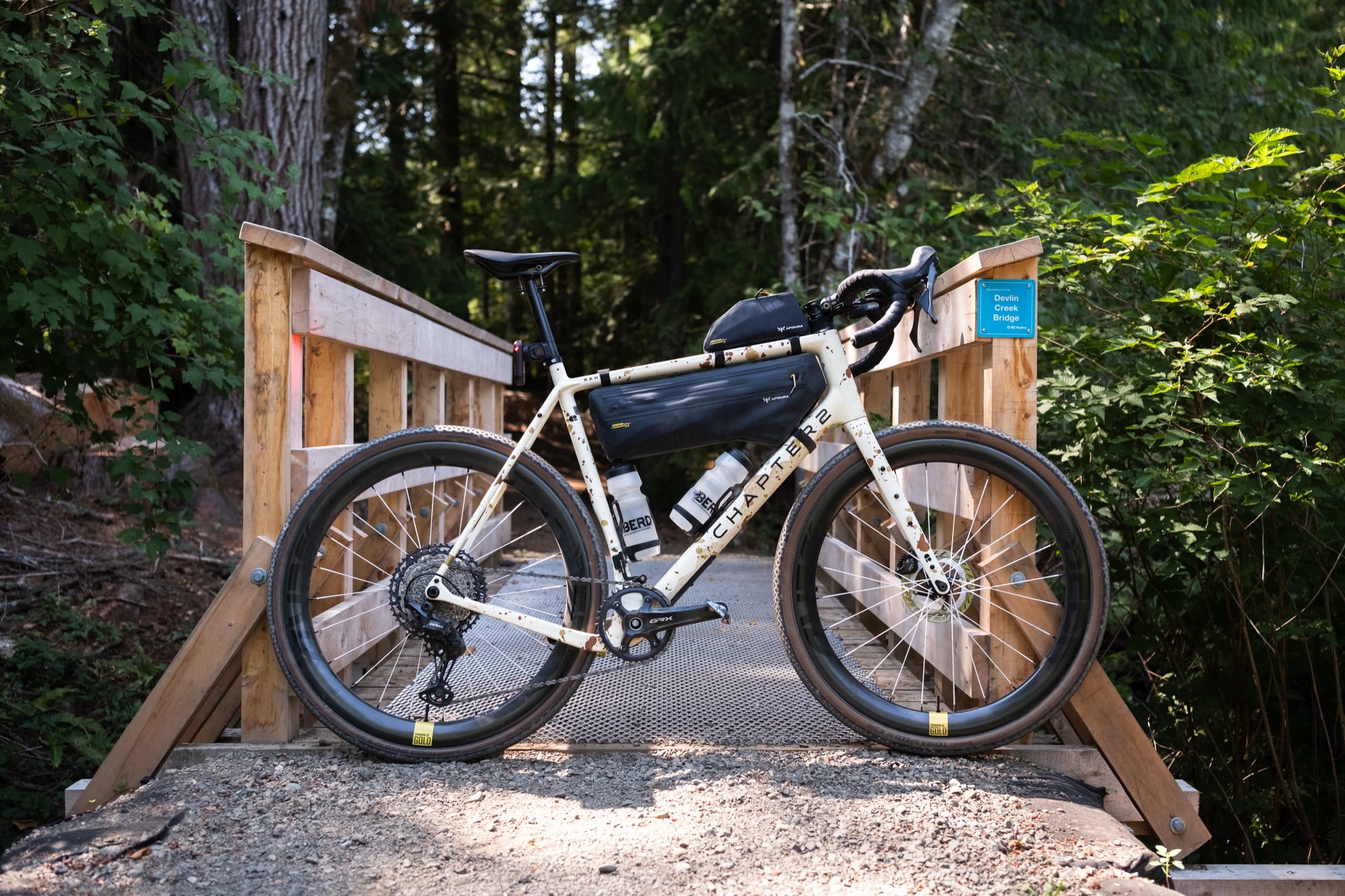 The Chapter 2 Kaha, fitted with the Sparrow 50 Gold wheelset, parked on a forest bridge.