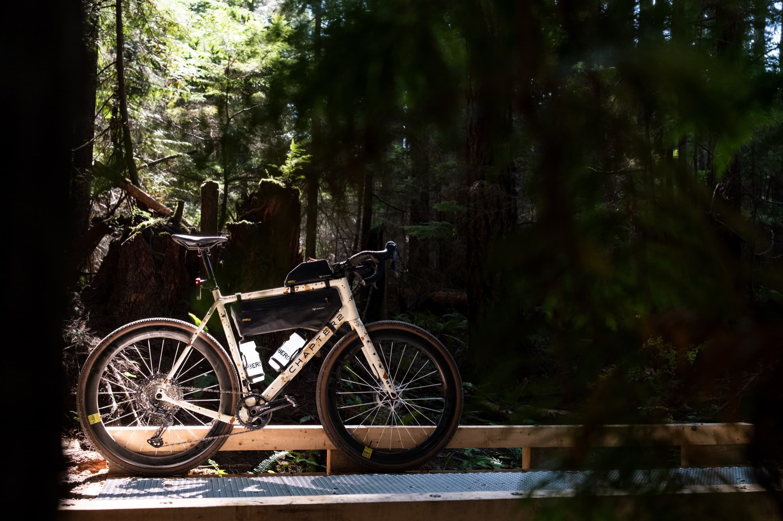 Another angle of the bike resting on the forest bridge.
