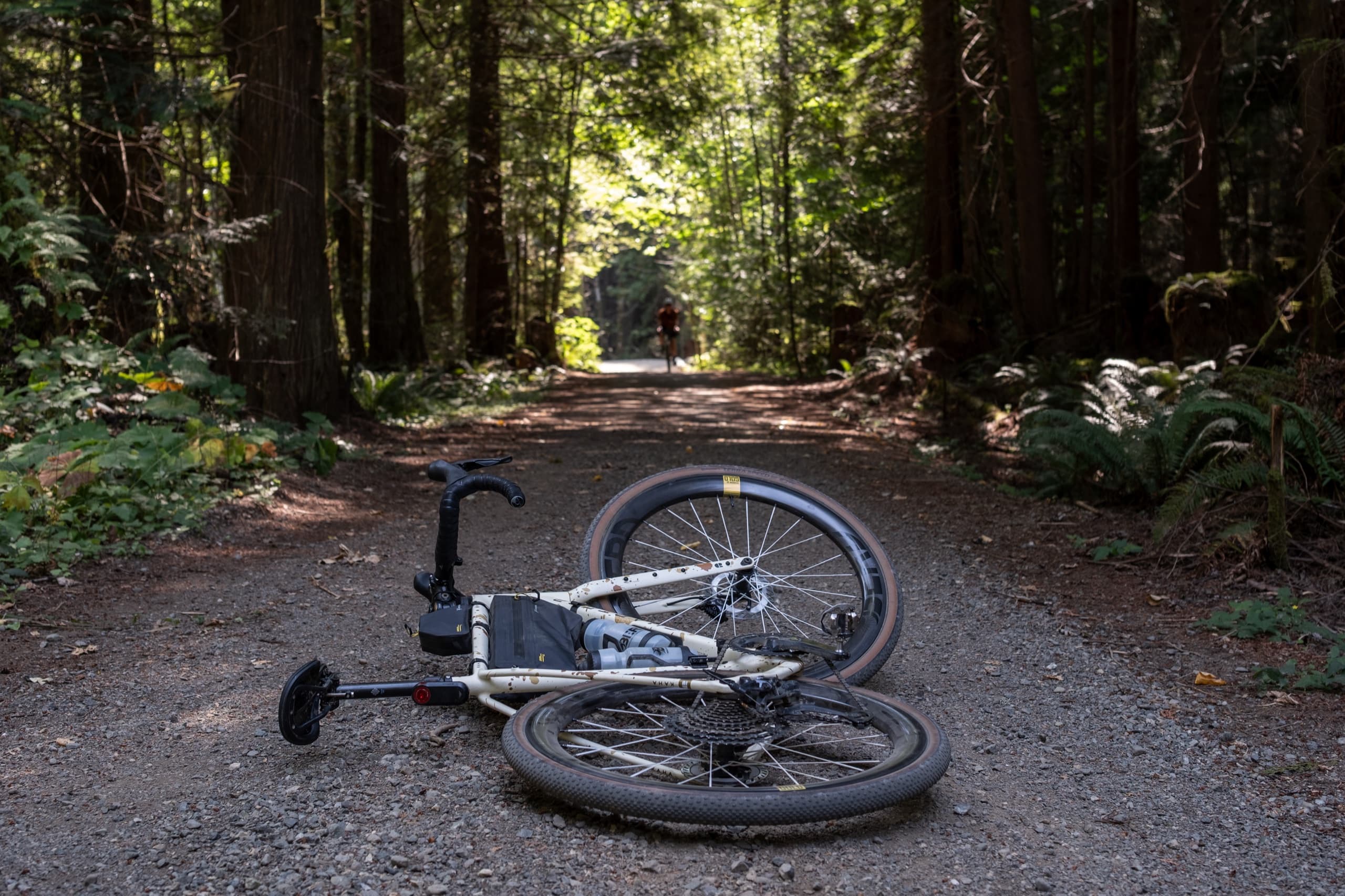 The bike set down trailside as Jeff walks ahead on the trail.