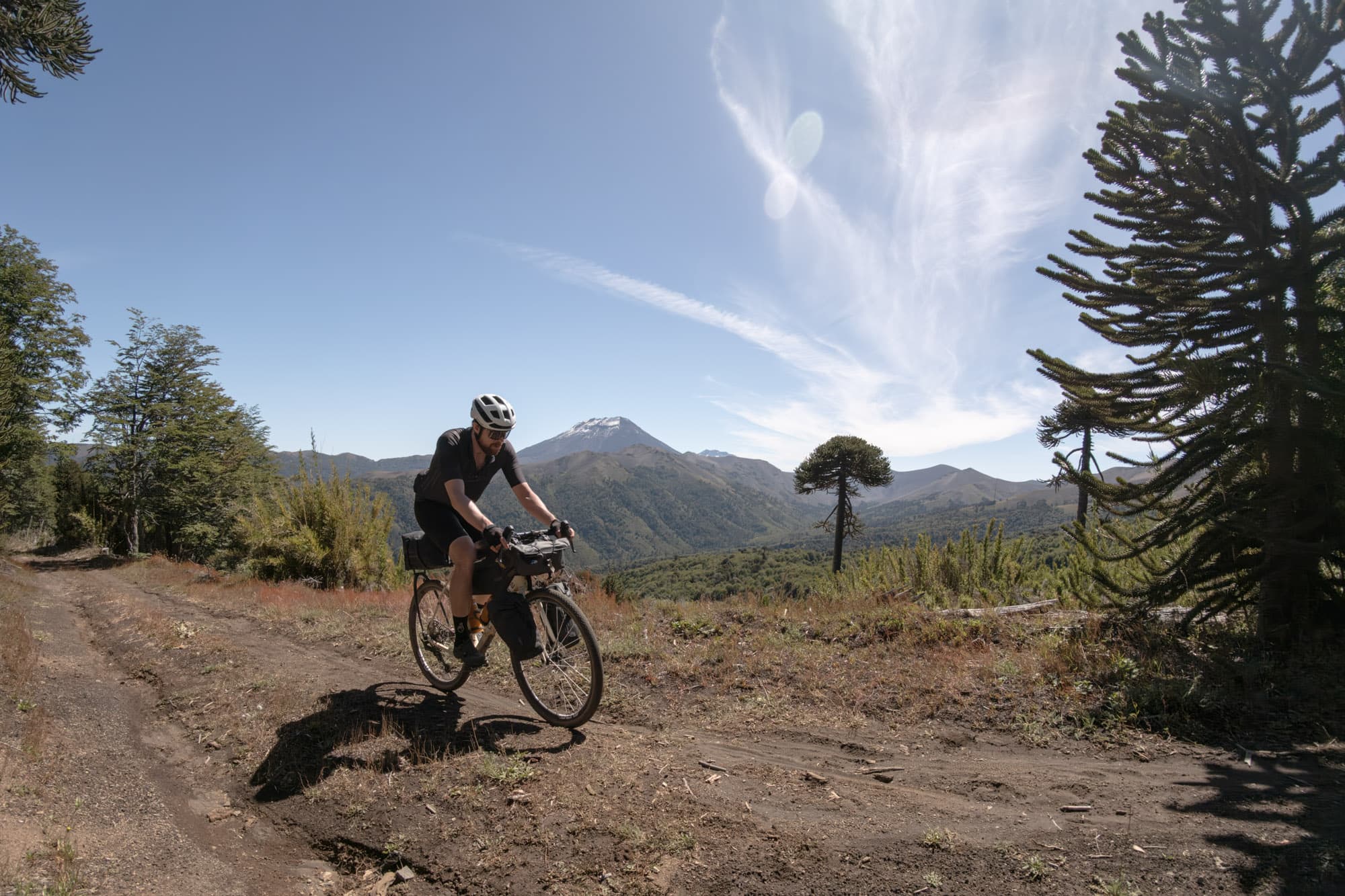 Riding through an Araucaria forest with a snowy volcanic peak in the distance.