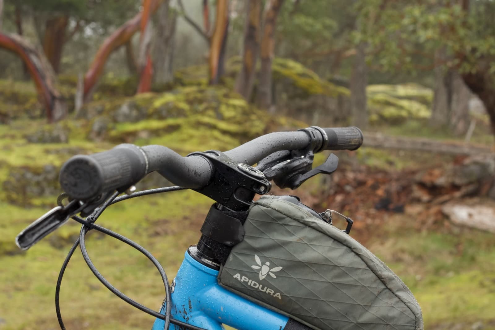 carbon bars with apidura bag