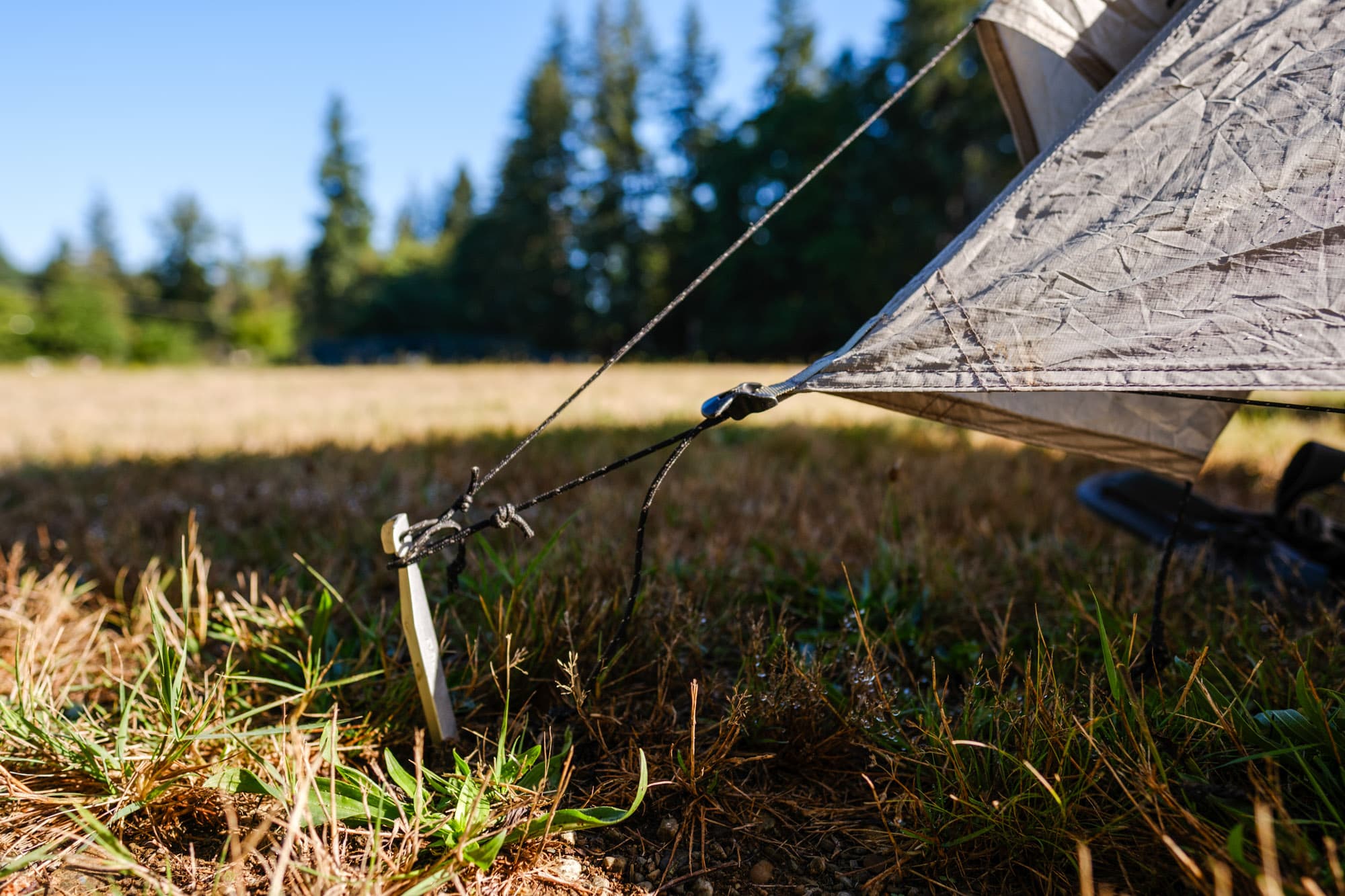Durston Gear X Mid 1 pegs in a field.