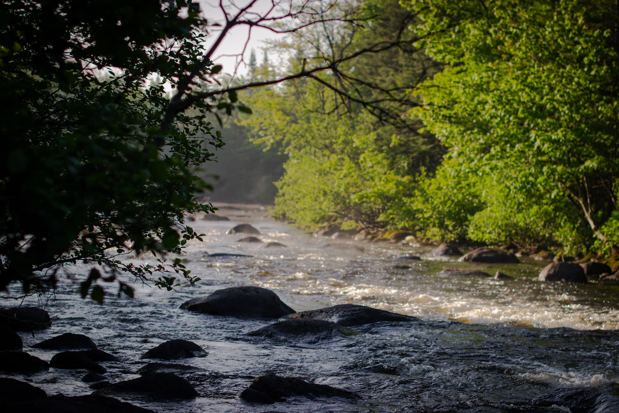 A stream in rural Quebec.