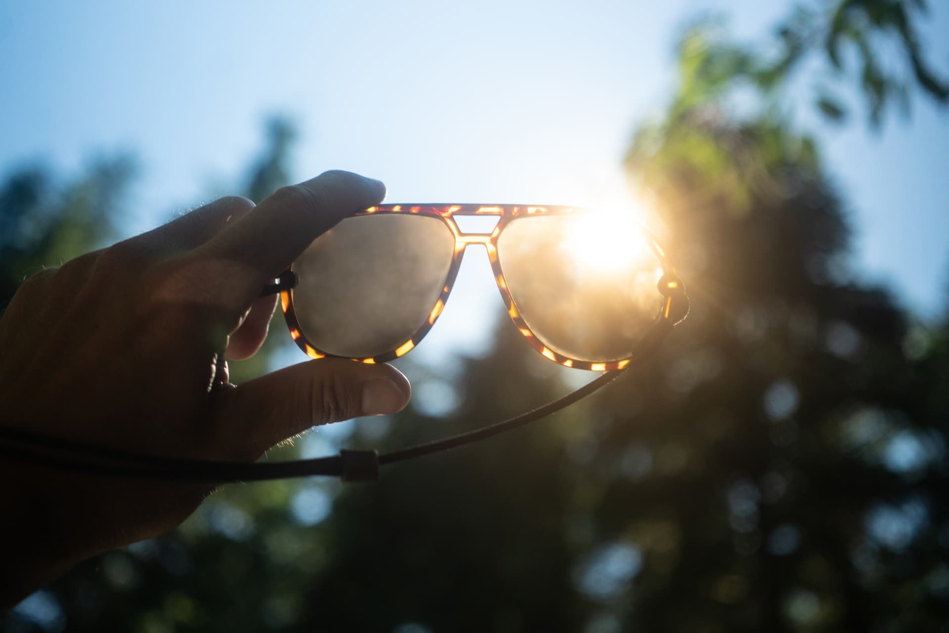 Ombraz Classic Sunglasses: Hugs For Your Face
