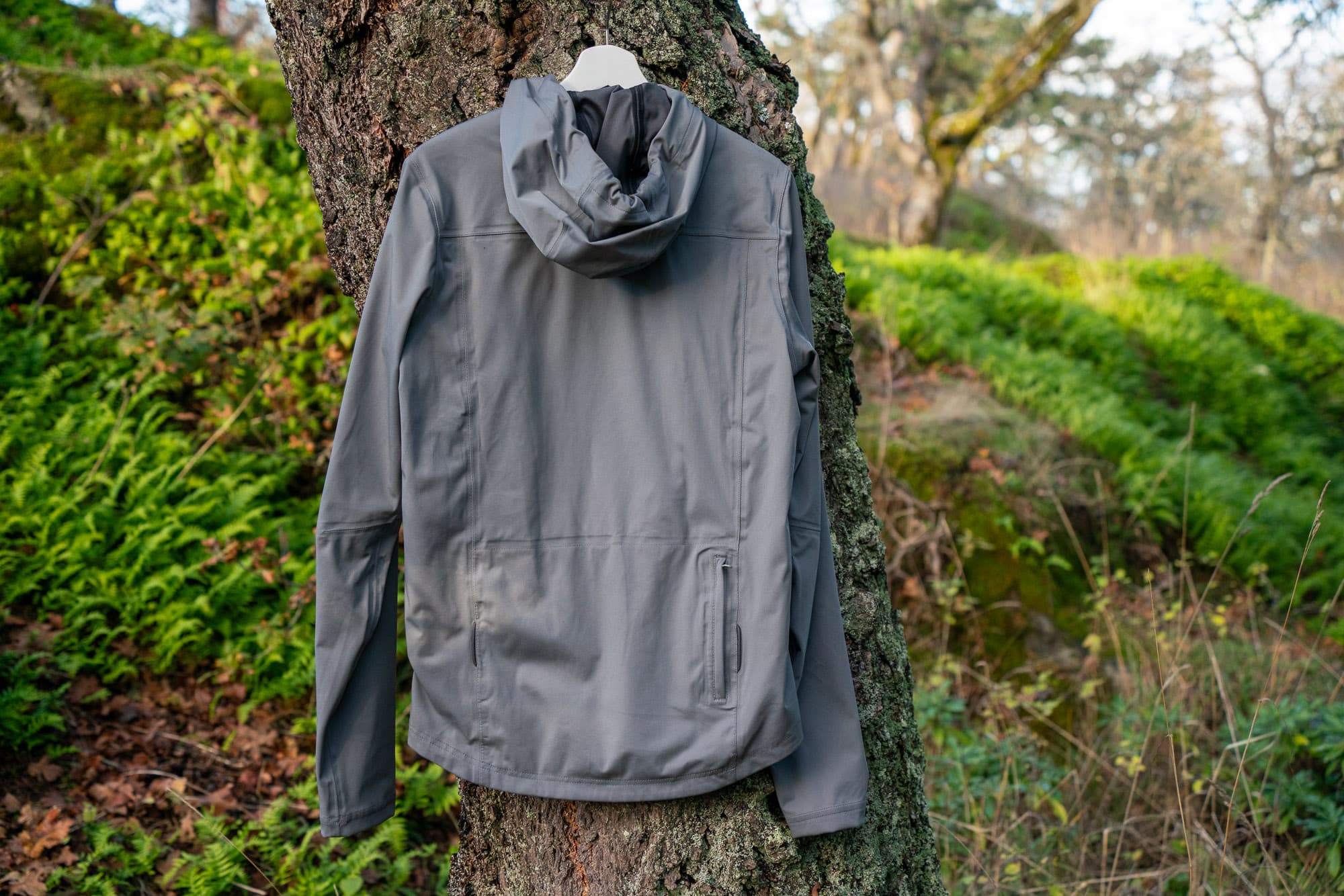 jacket rear view on tree