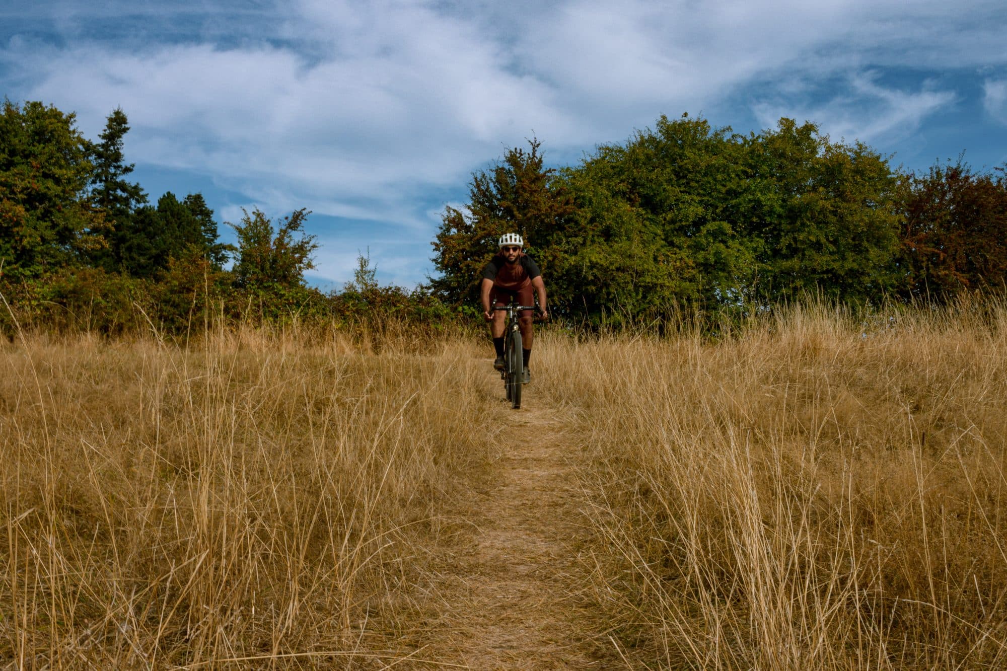 Abe rolling through a dry meadow outside Portland.