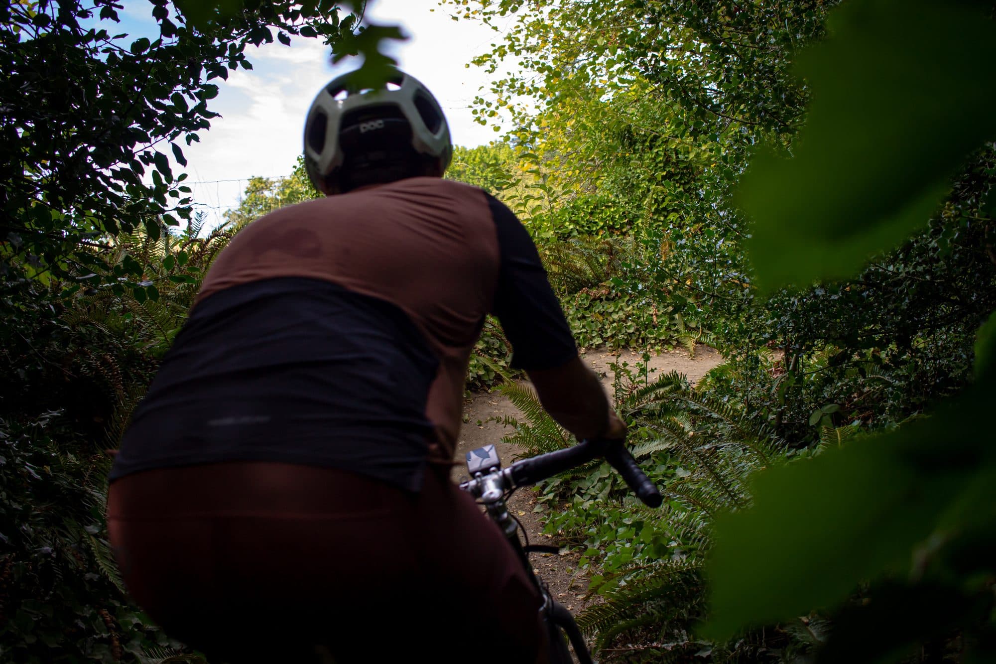 Over the shoulder on a shaded forest trail.