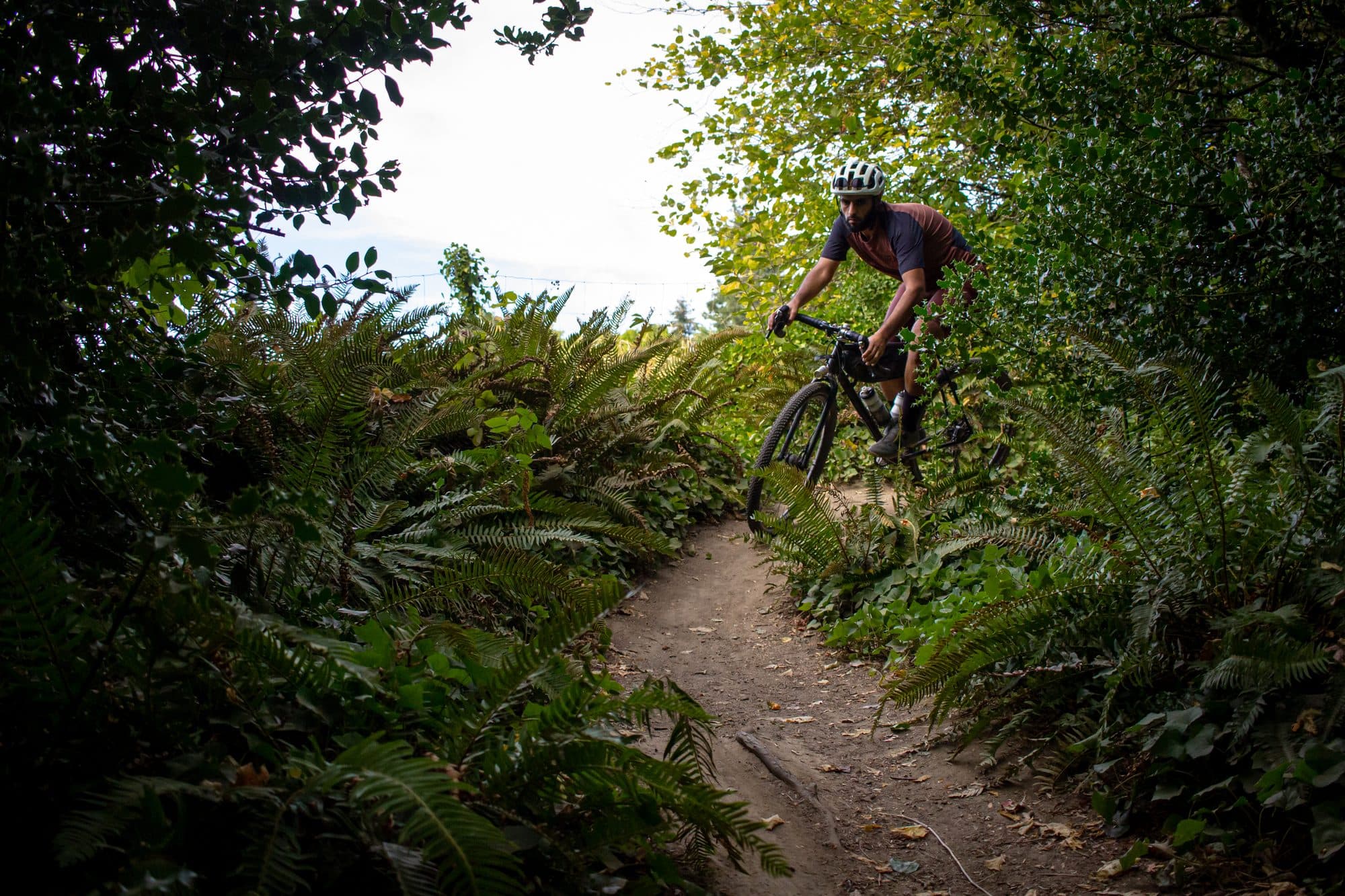 Dropping into a fern-lined trail.