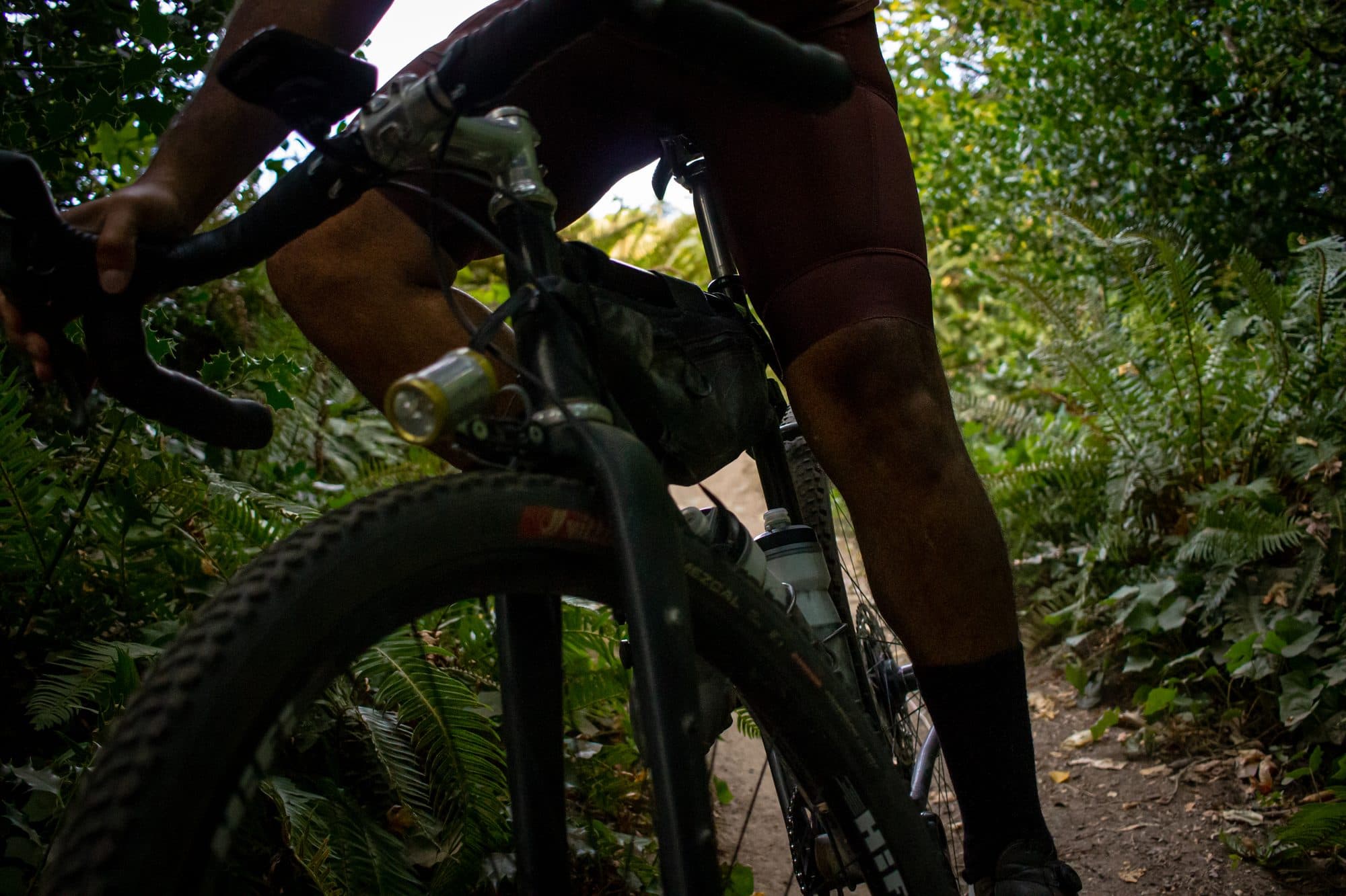 Low angle through the bike on the Expedition bibs in the forest.