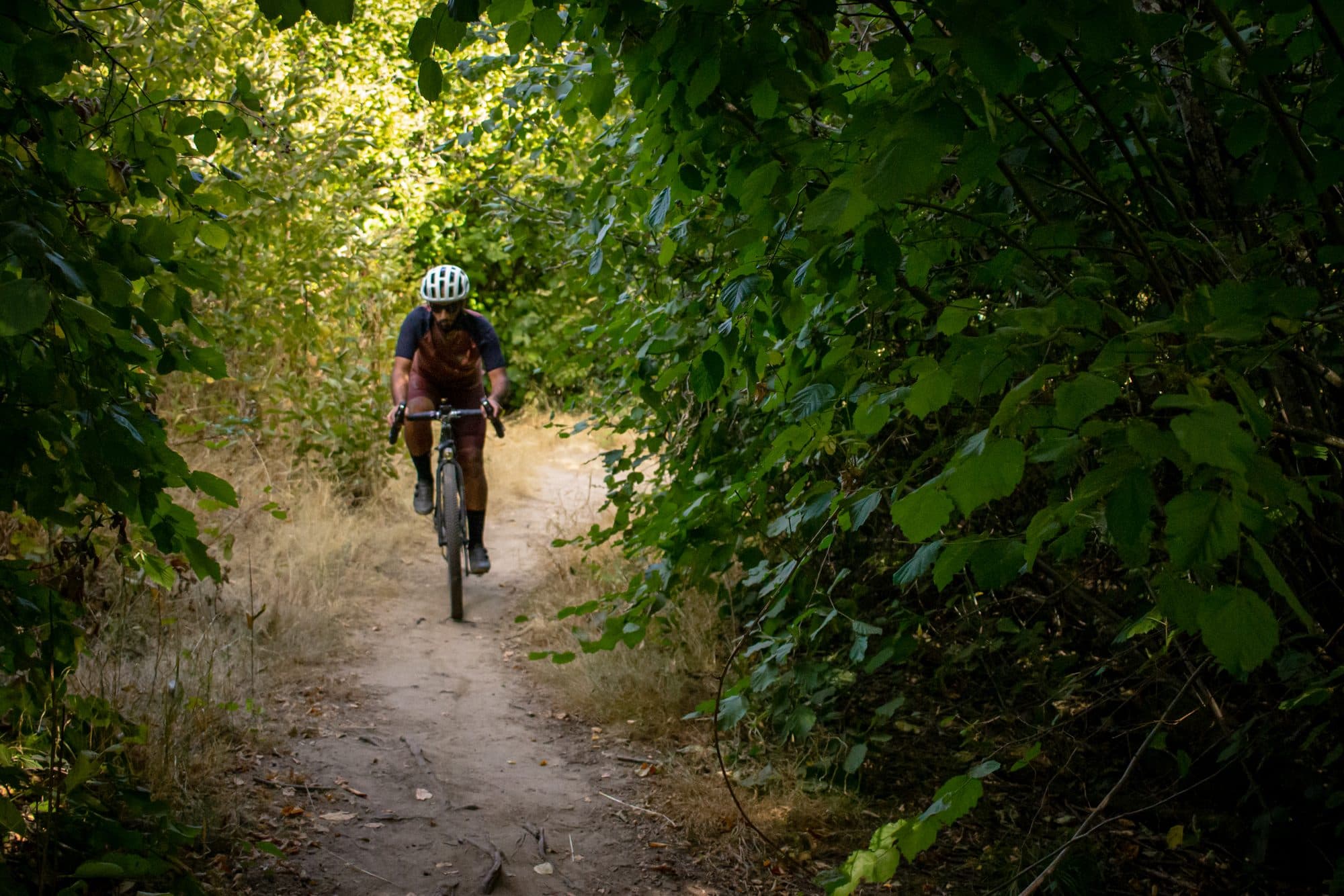 Riding toward camera down a tree-lined trail.