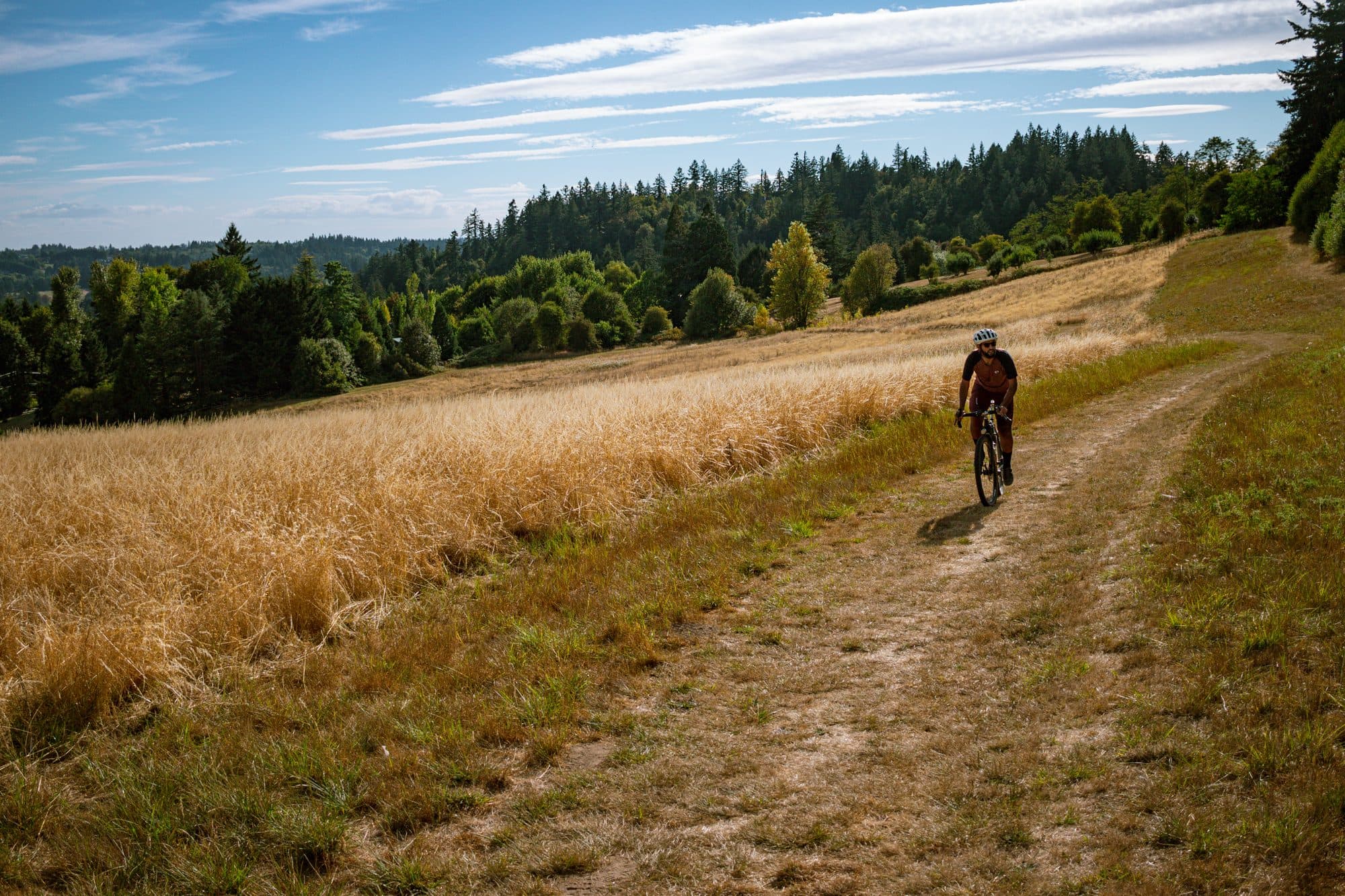 A distant rider on a mown track through the dry meadow.