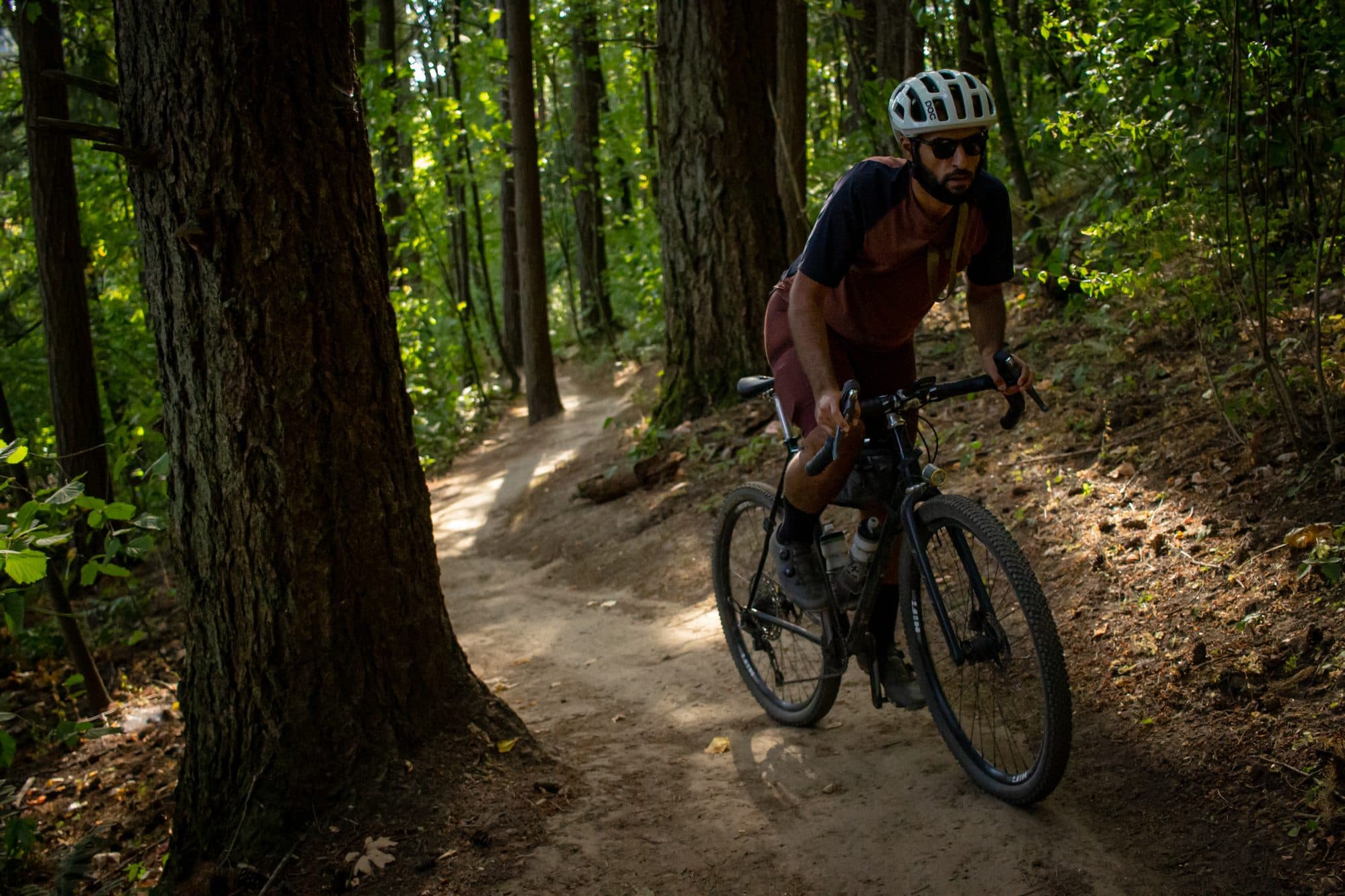 Threading singletrack between the trees.
