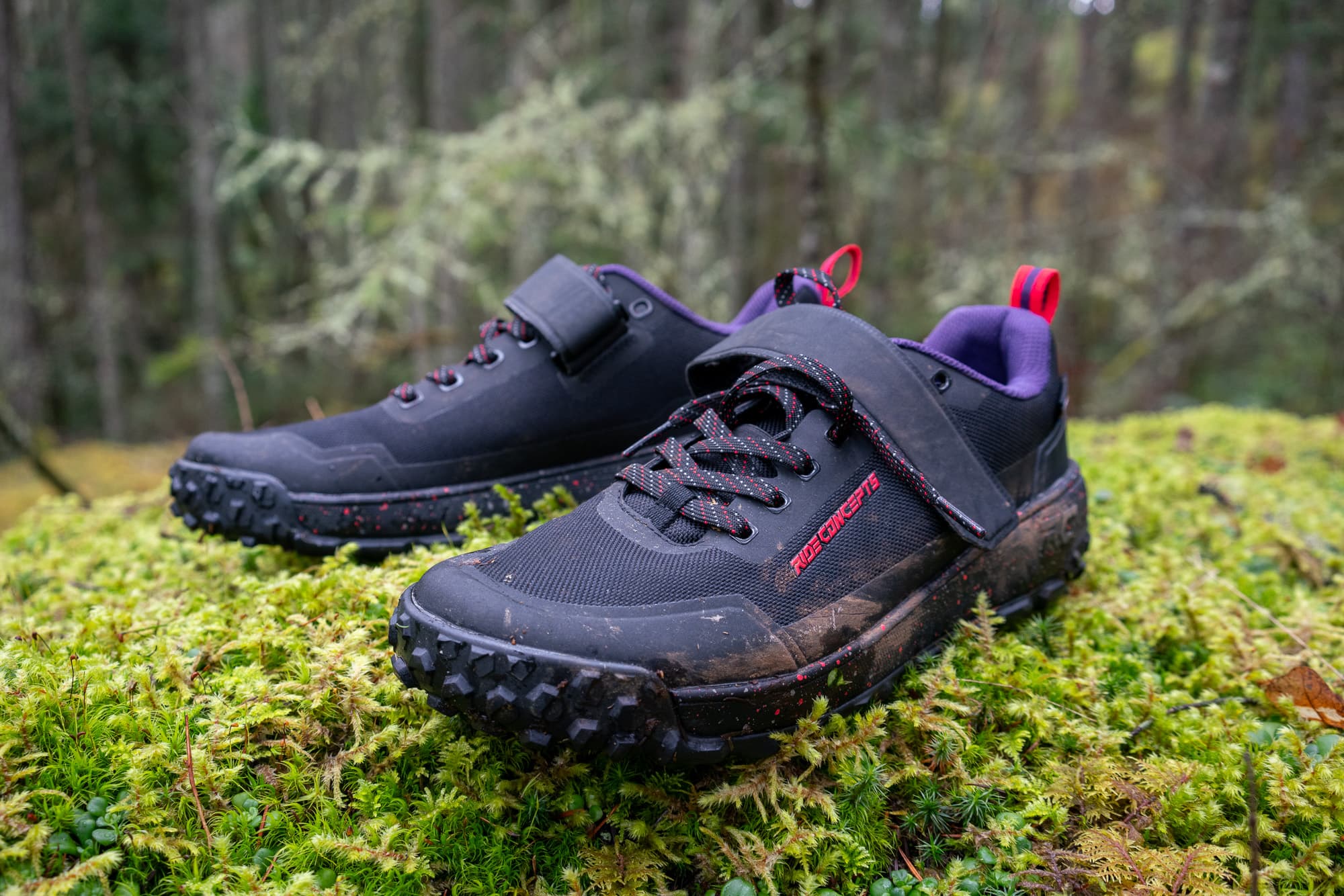 Ride Concepts Tallac: Shreddy Shoetility