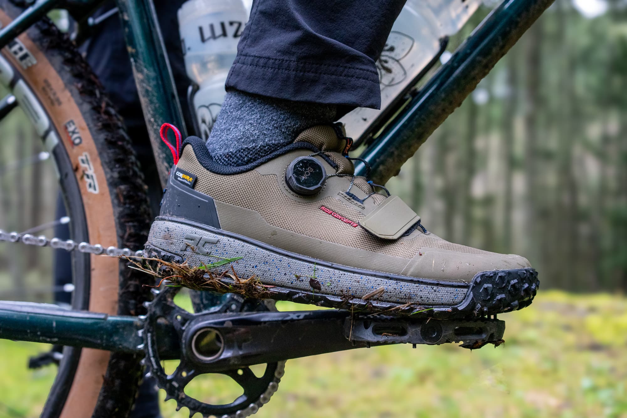 The clipless Ride Concept Tallacs in the moss.