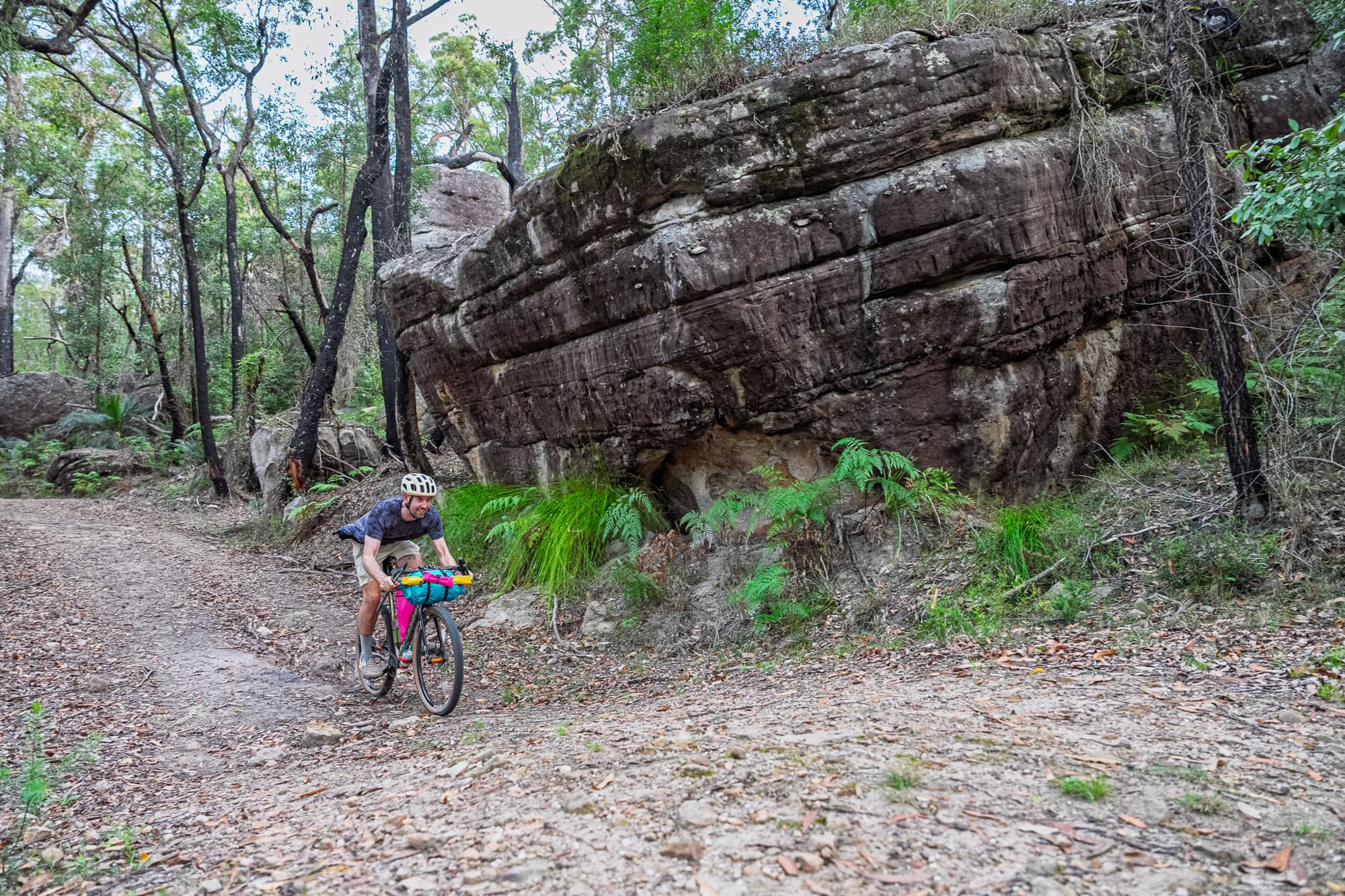 Mattie shreds near a big rock.