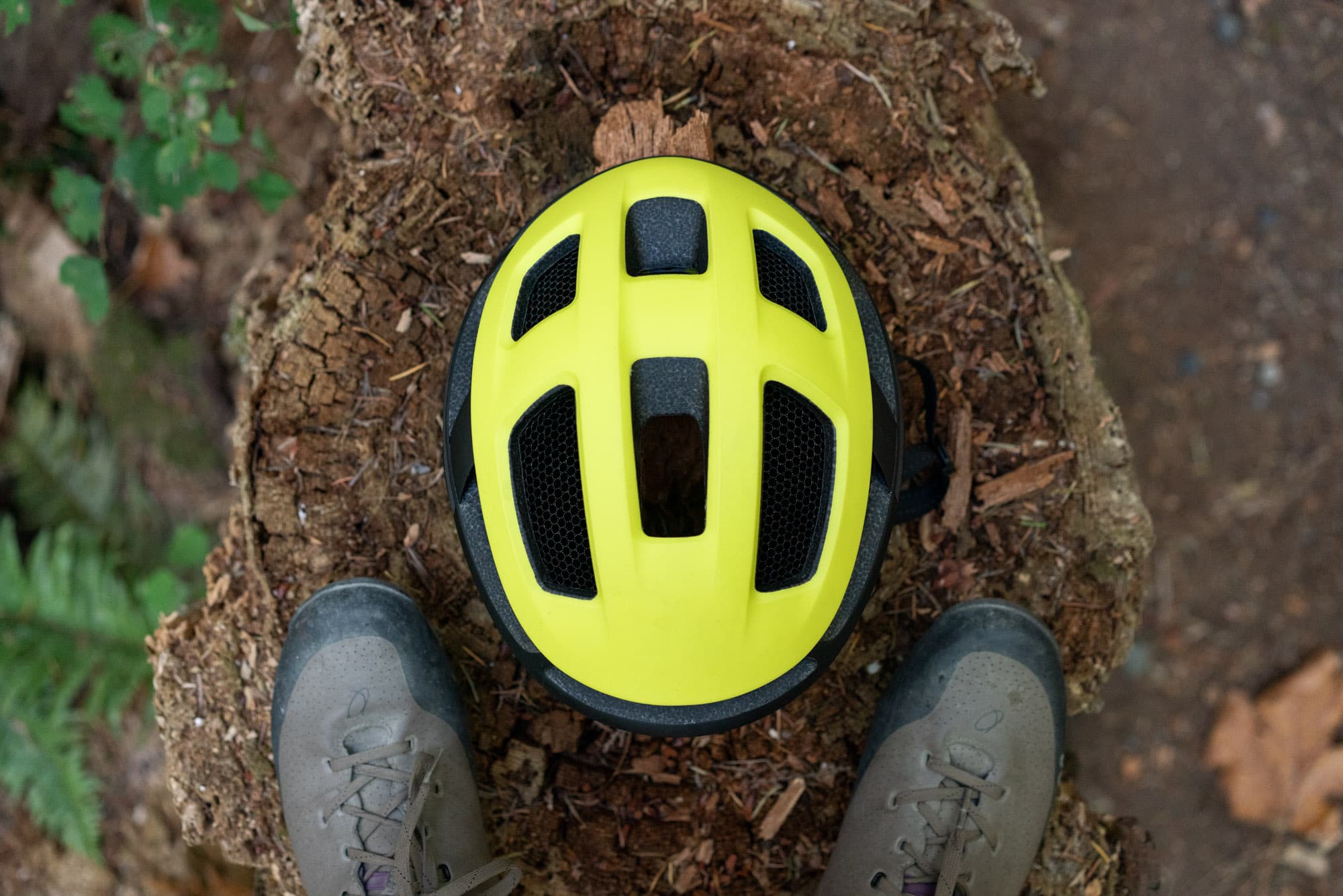 Top-down view of the Smith Trace's vent layout, sitting on a stump between Barry's shoes.