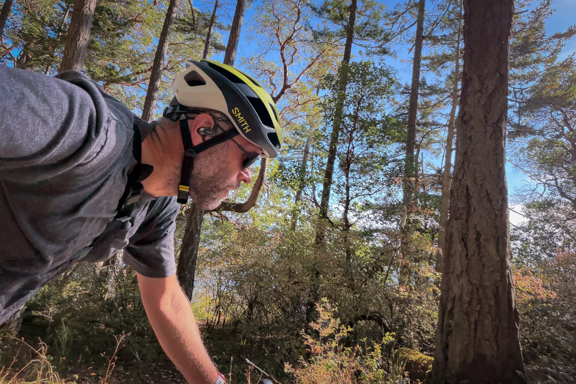 Barry leans into the frame in the Smith Trace under tall forest trees.