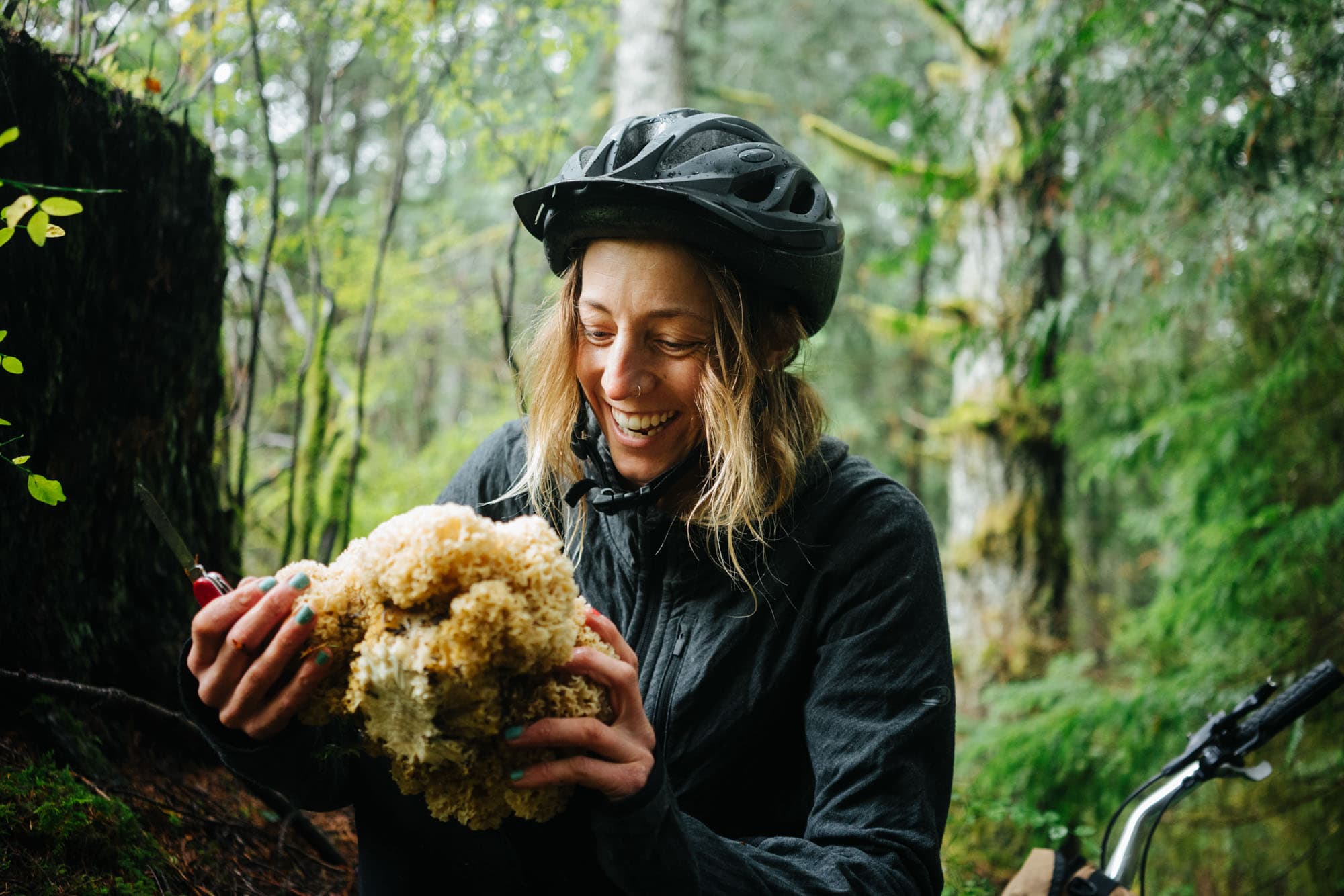 Huge mushroom