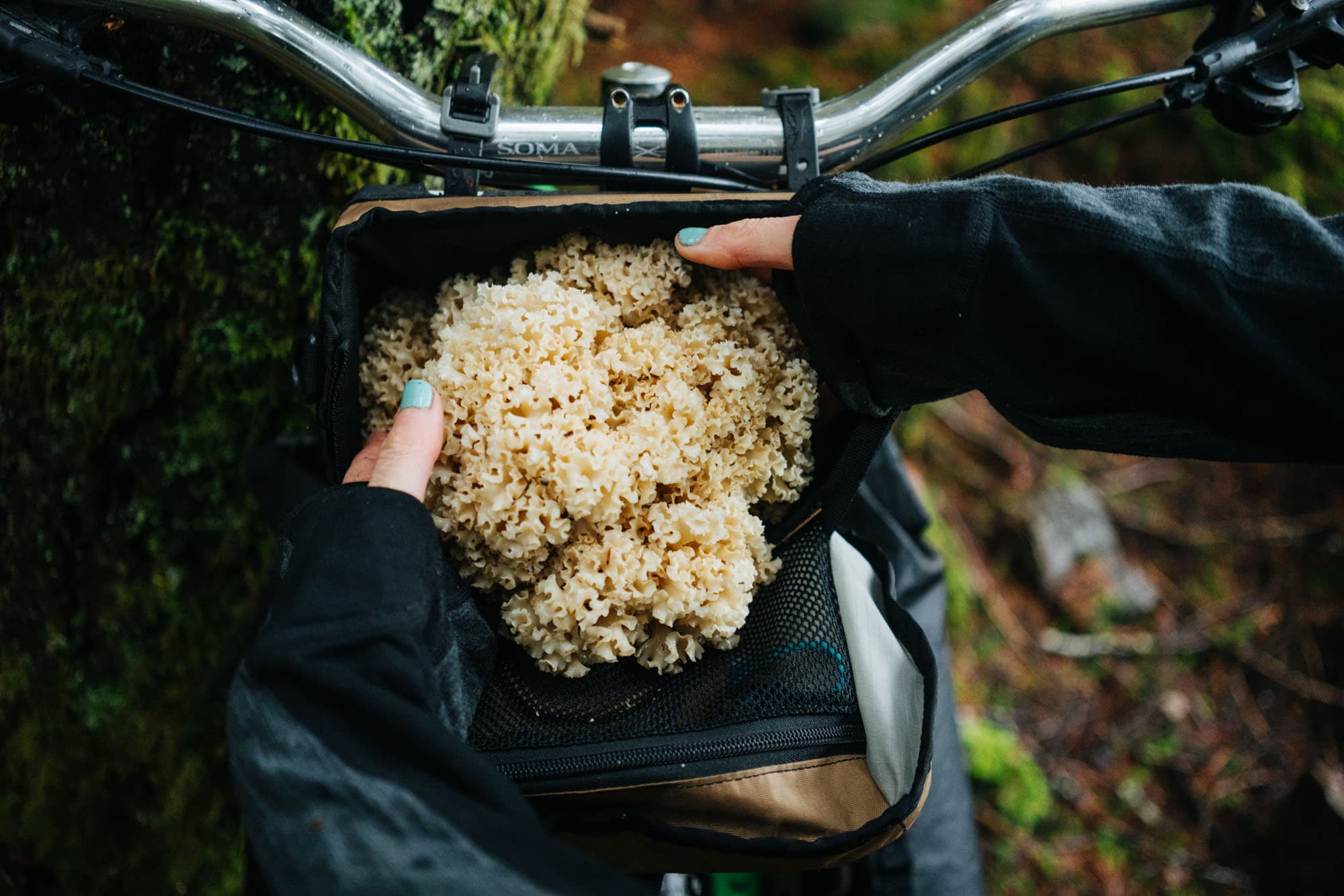 hige mushroom fits in the Swift Capstone.