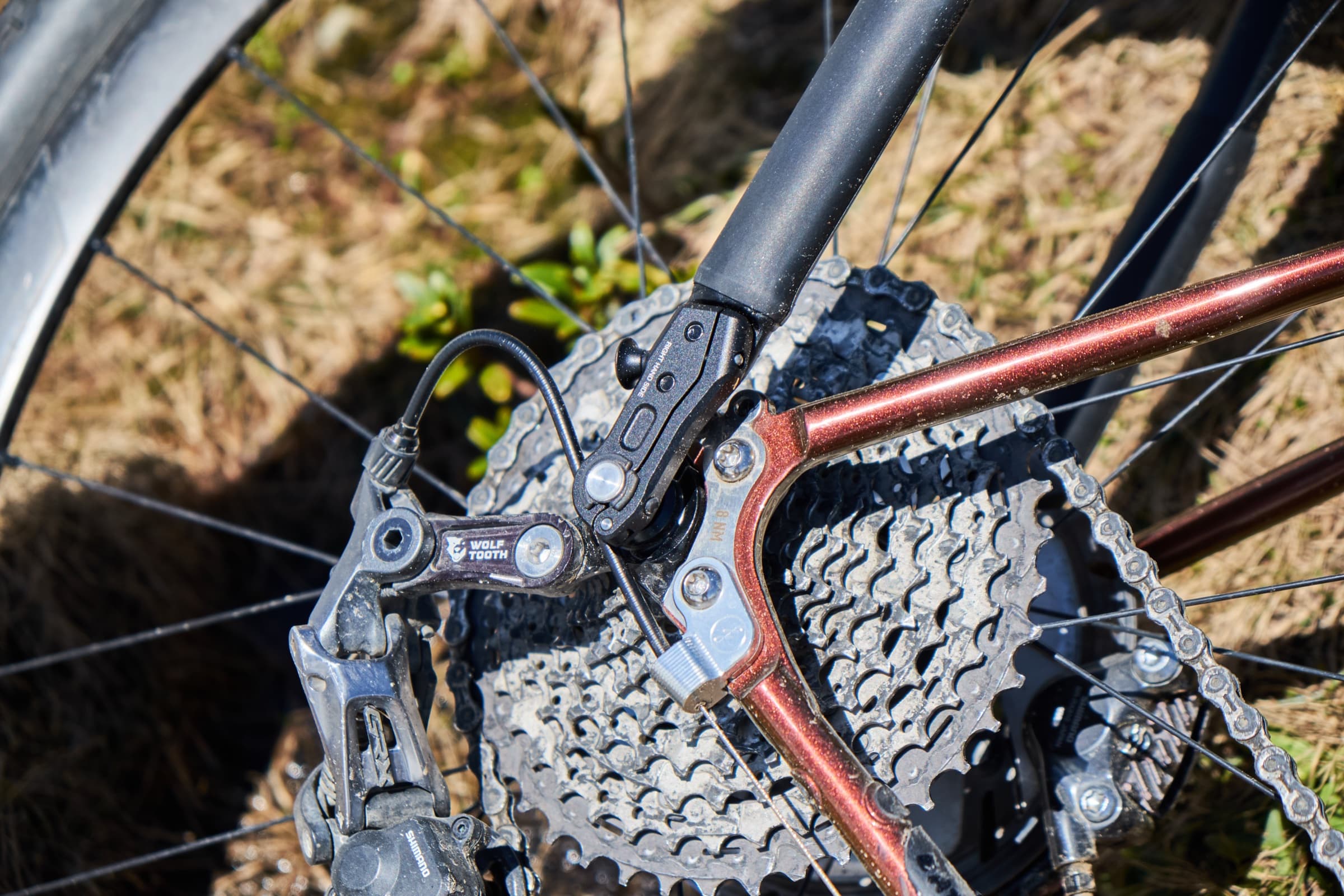 Close-up of the rear dropout, cassette, and custom-machined thru-axle.