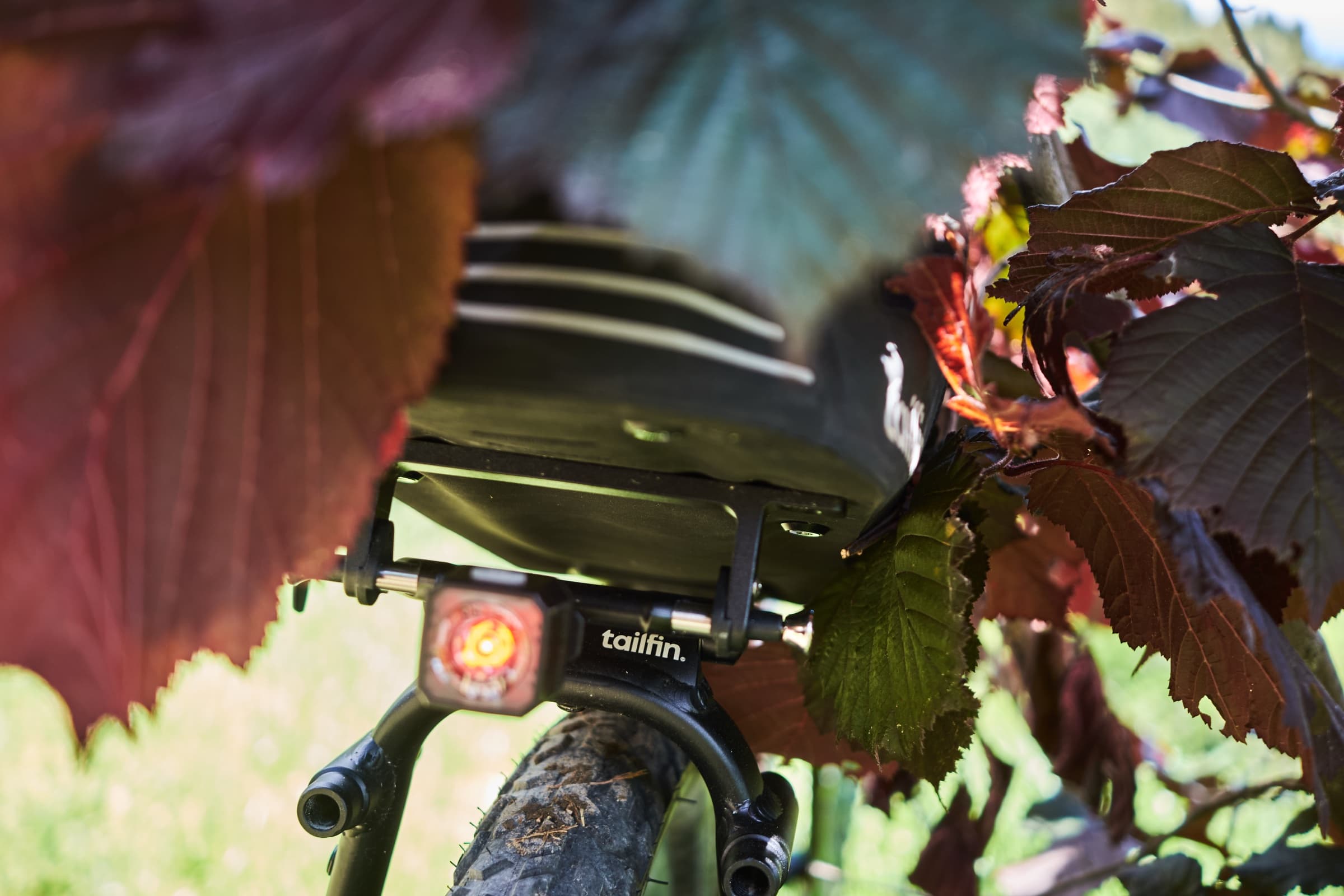 The Journey Pannier Rack's integrated rear light mount, framed by autumn leaves.