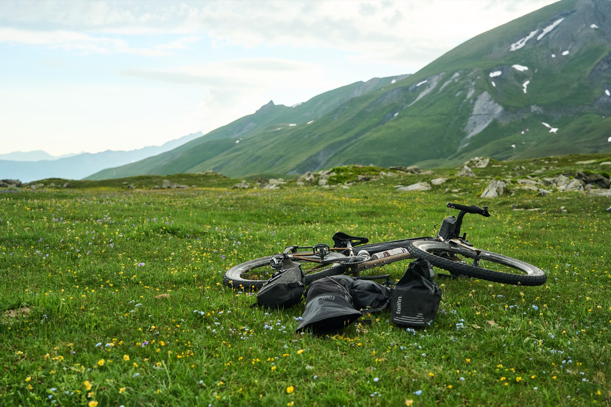The loaded bike lying on its side in a wildflower meadow.