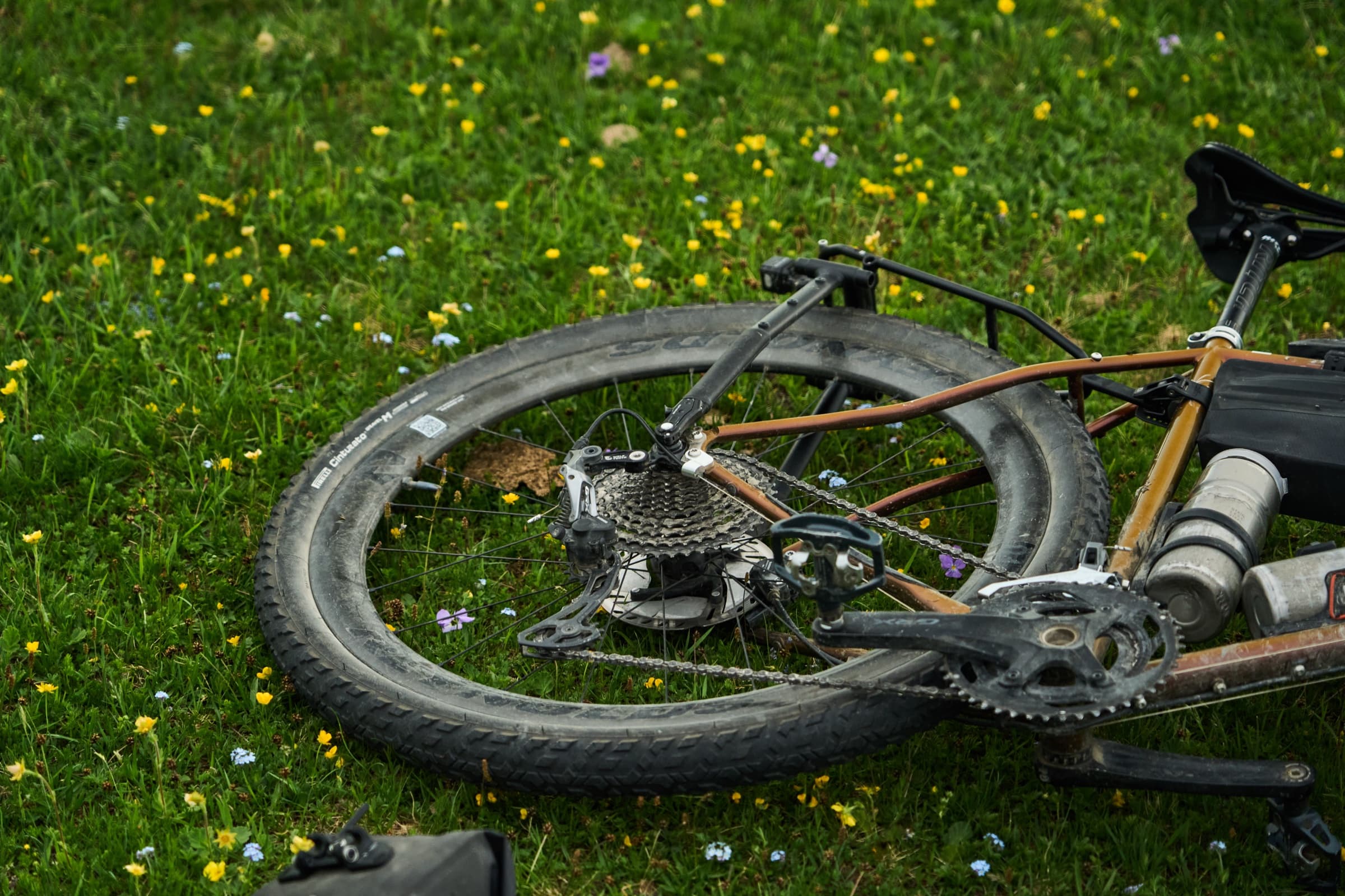 Close-up of the drivetrain and rack mount with the bike lying in the wildflower meadow.